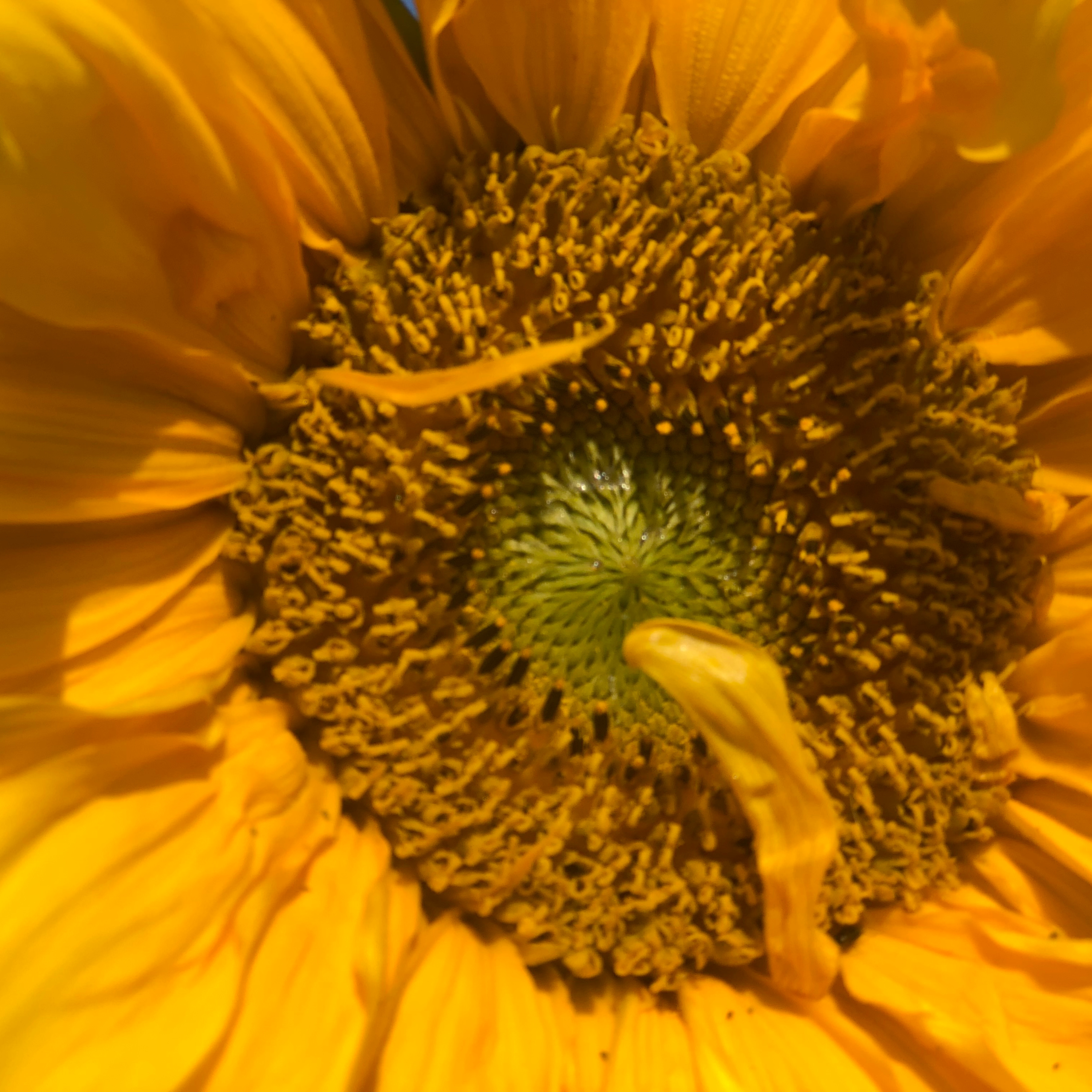 Jyoshna - From Nothingness To Empowerment