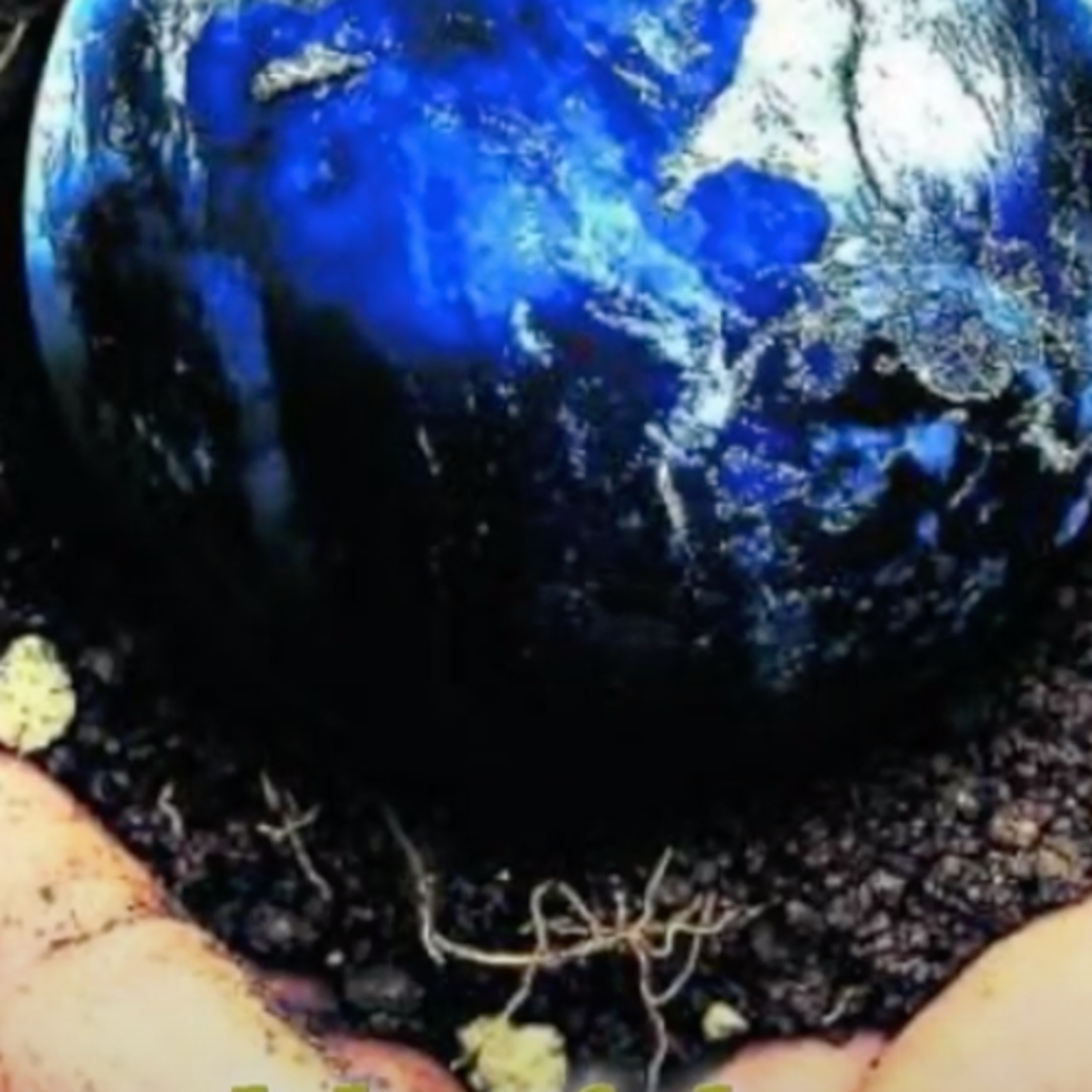 Jyoshna - From Nothingness To Empowerment