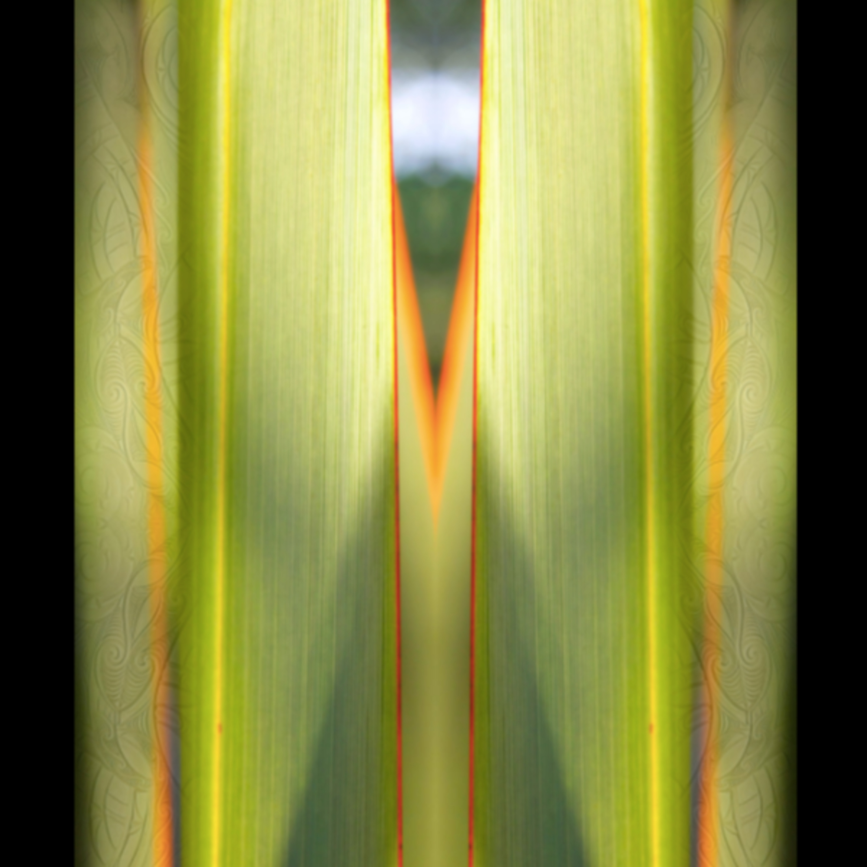 244/365 Part I- Sacred Remembering on how to Connect, Speak and Heal with Nature - An Interview with Robert van der Touw (Viirabhadra)  episode artwork