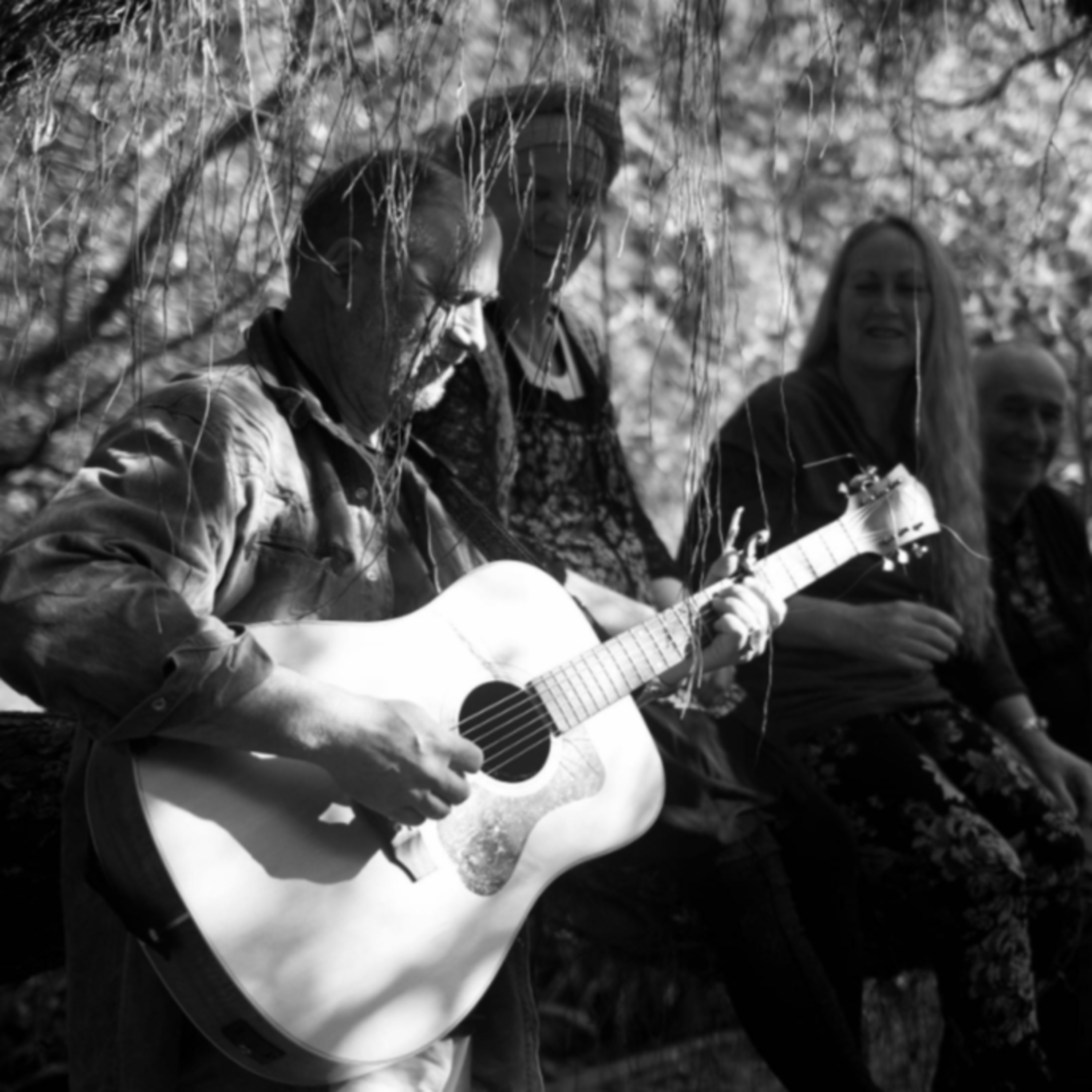 246/365 Falling in Love with The Aotearoa NZ Forest - An Interview with Viirabhadra, Homeopath/Healer/Musician/Artist episode artwork