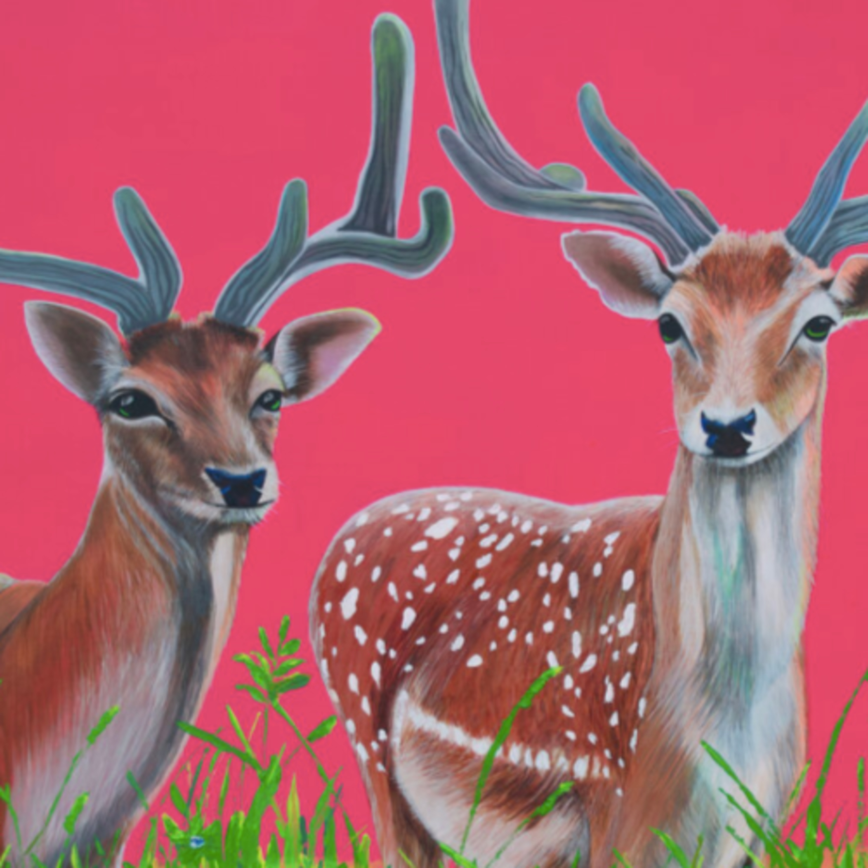 293/365 A Beautiful Festival dedicated to a Beautiful Woman - Mount Shannon Arts Festival This weekend  episode artwork