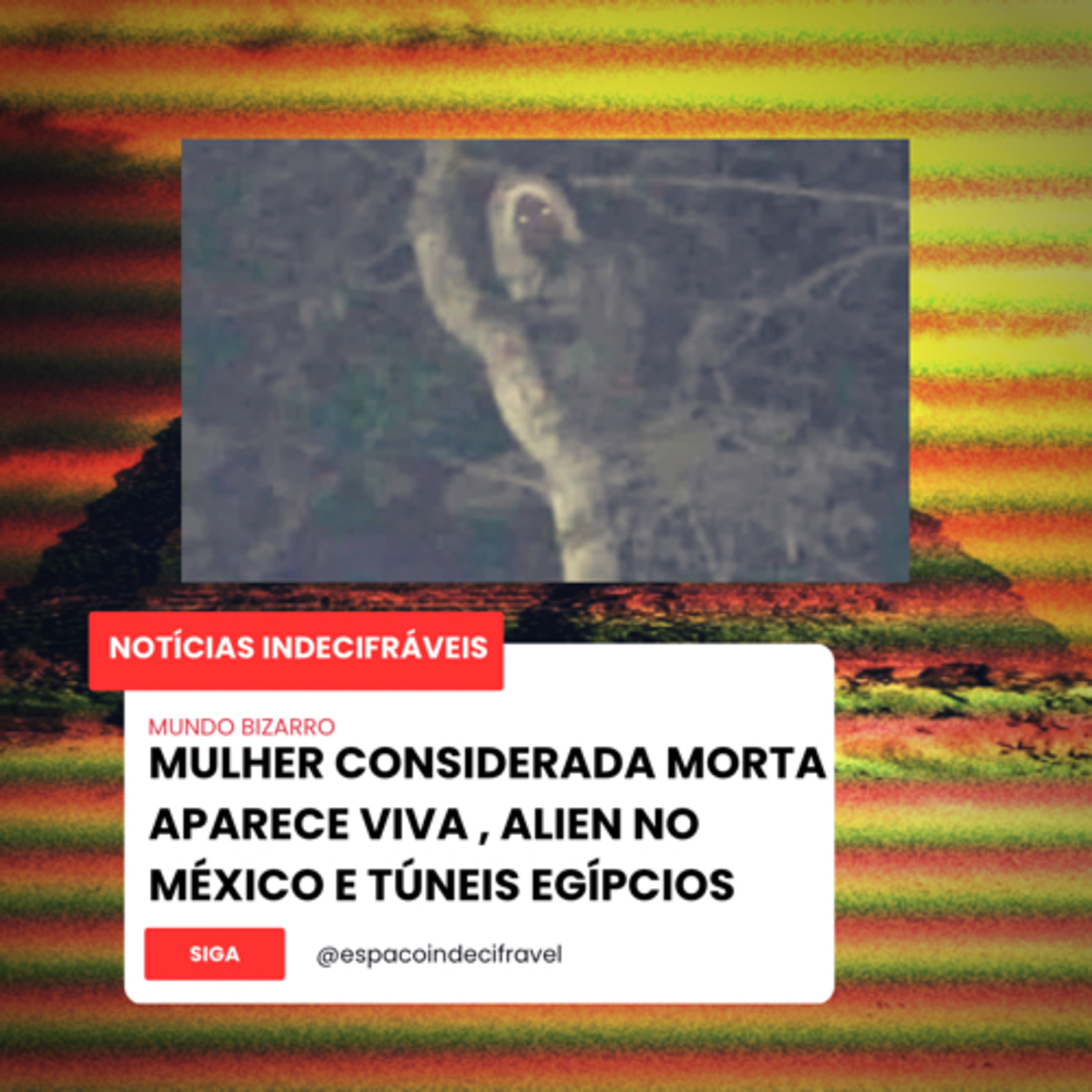  [NI] 5# Mulher Considerada Morta Aparece Viva, Alien no México e Túneis Egípcios episode artwork