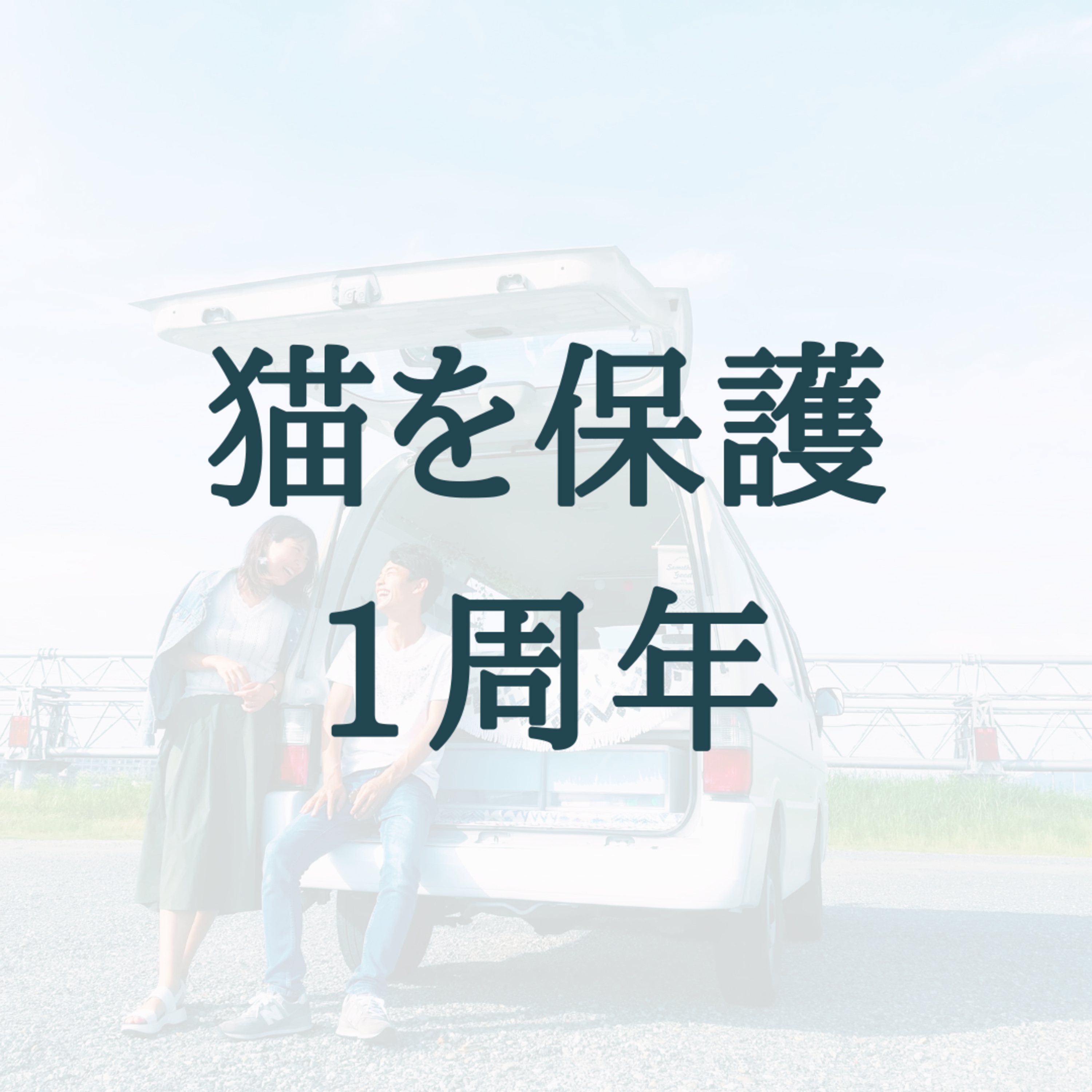 子猫を保護して1年!感想を語ります / #12