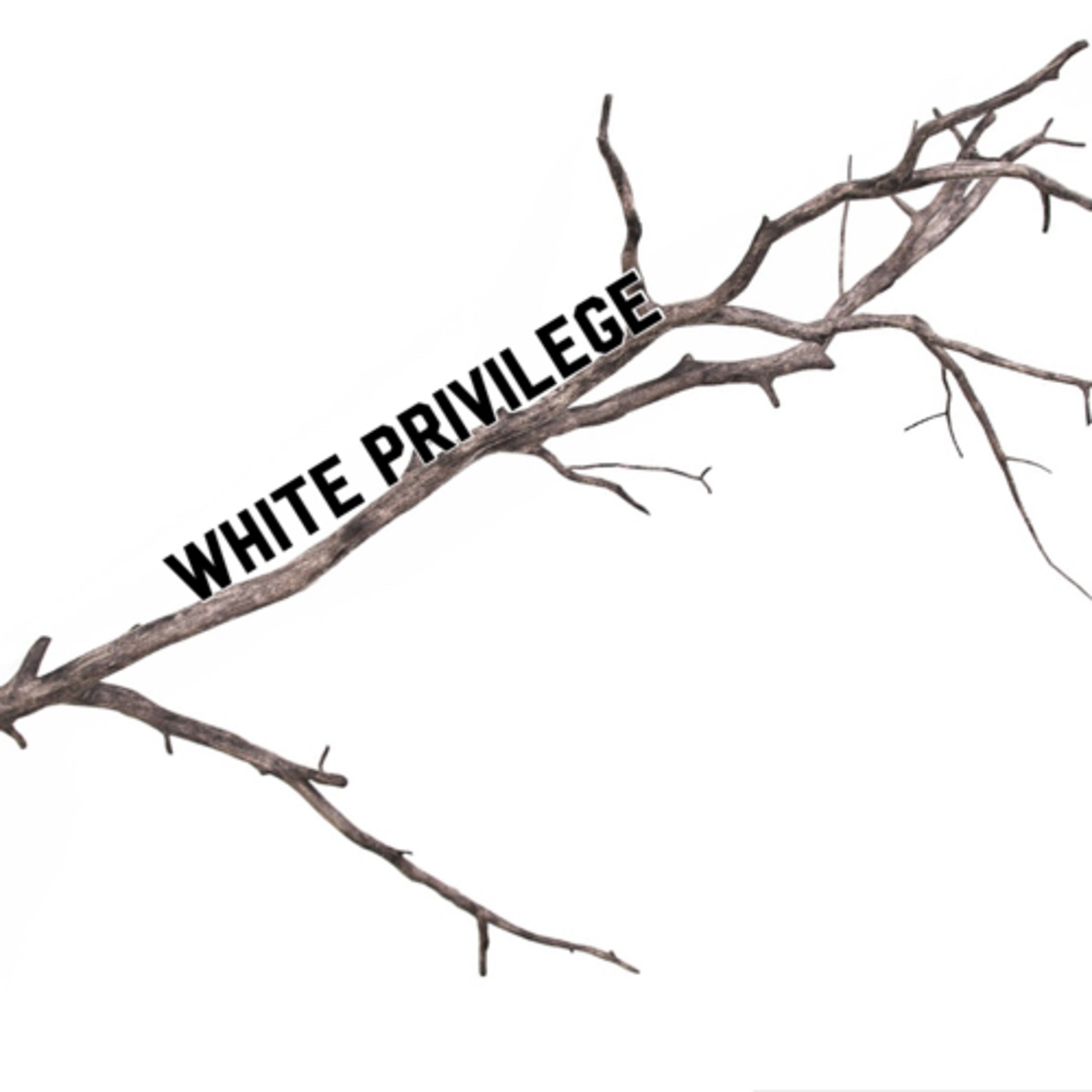 Another Branch: White Privilege  episode artwork