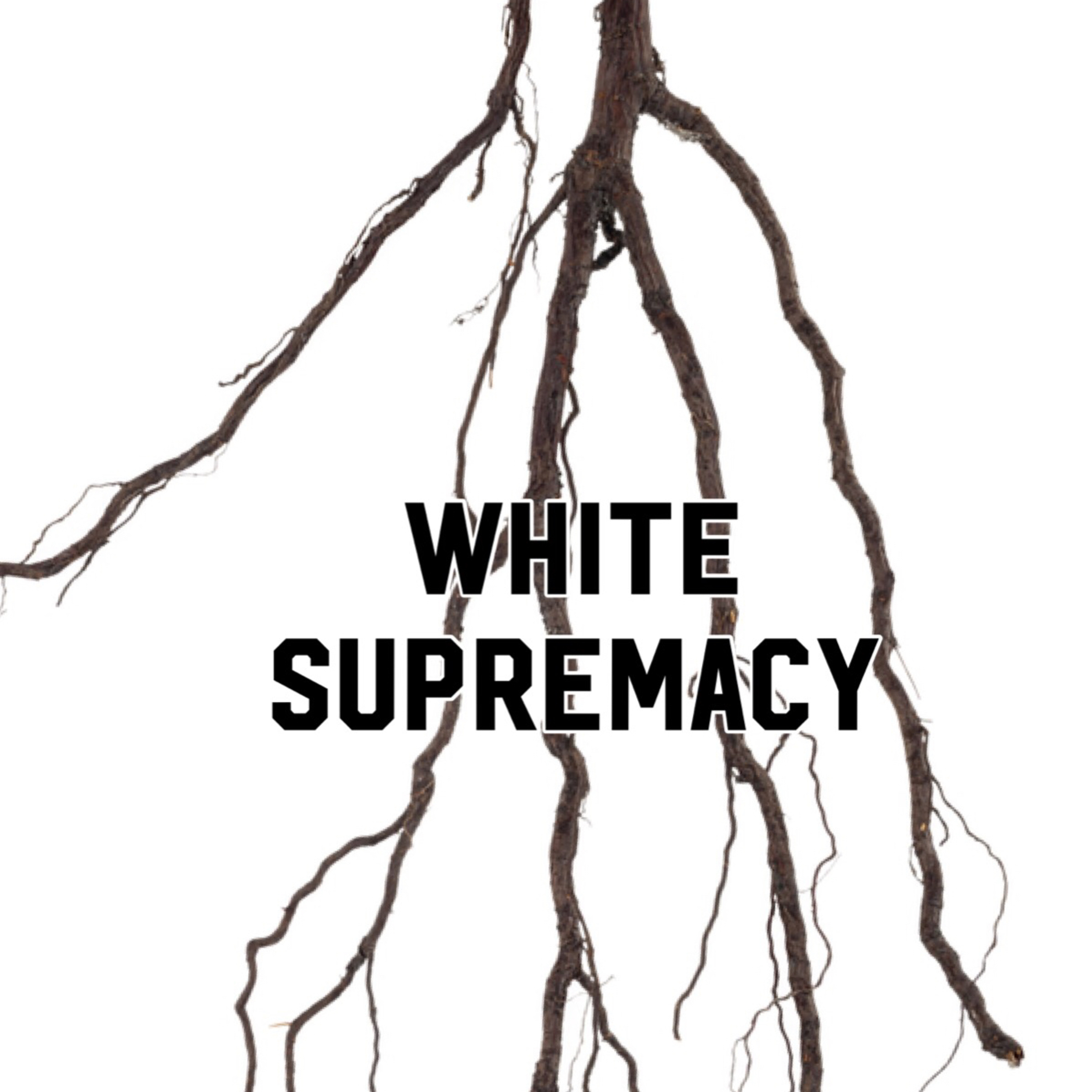 The Root:White Supremacy episode artwork