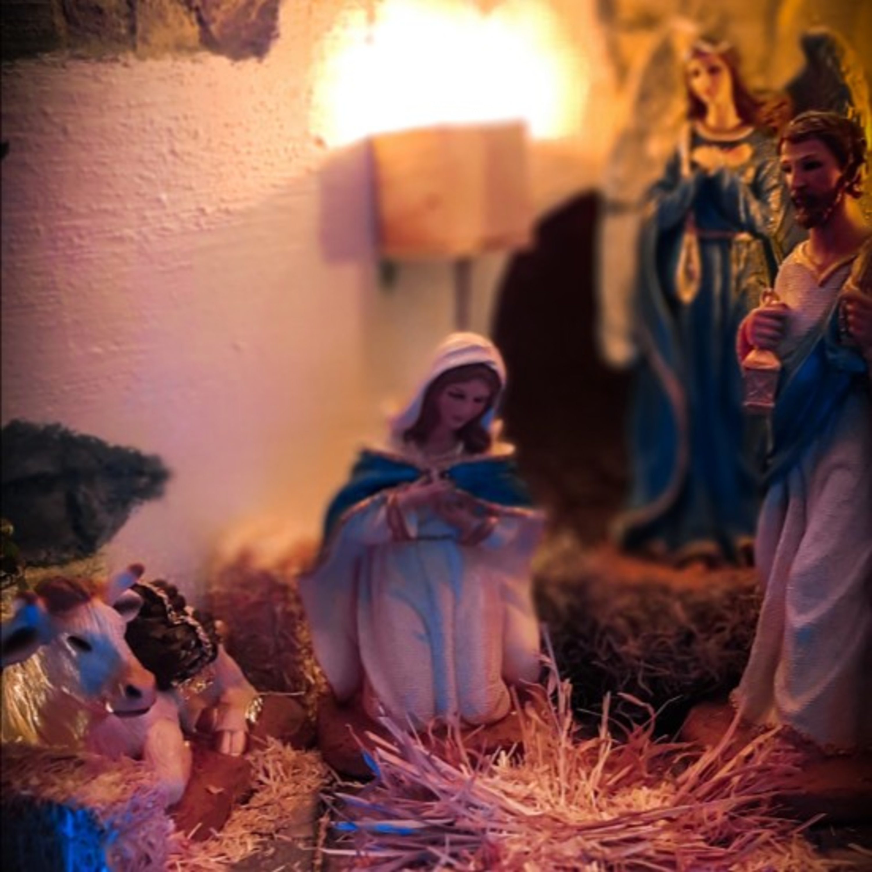PARROQUIA DEL SAGRADO CORAZÓN DE JESÚS | REFLEXIONES DE UN PUEBLO DE FE