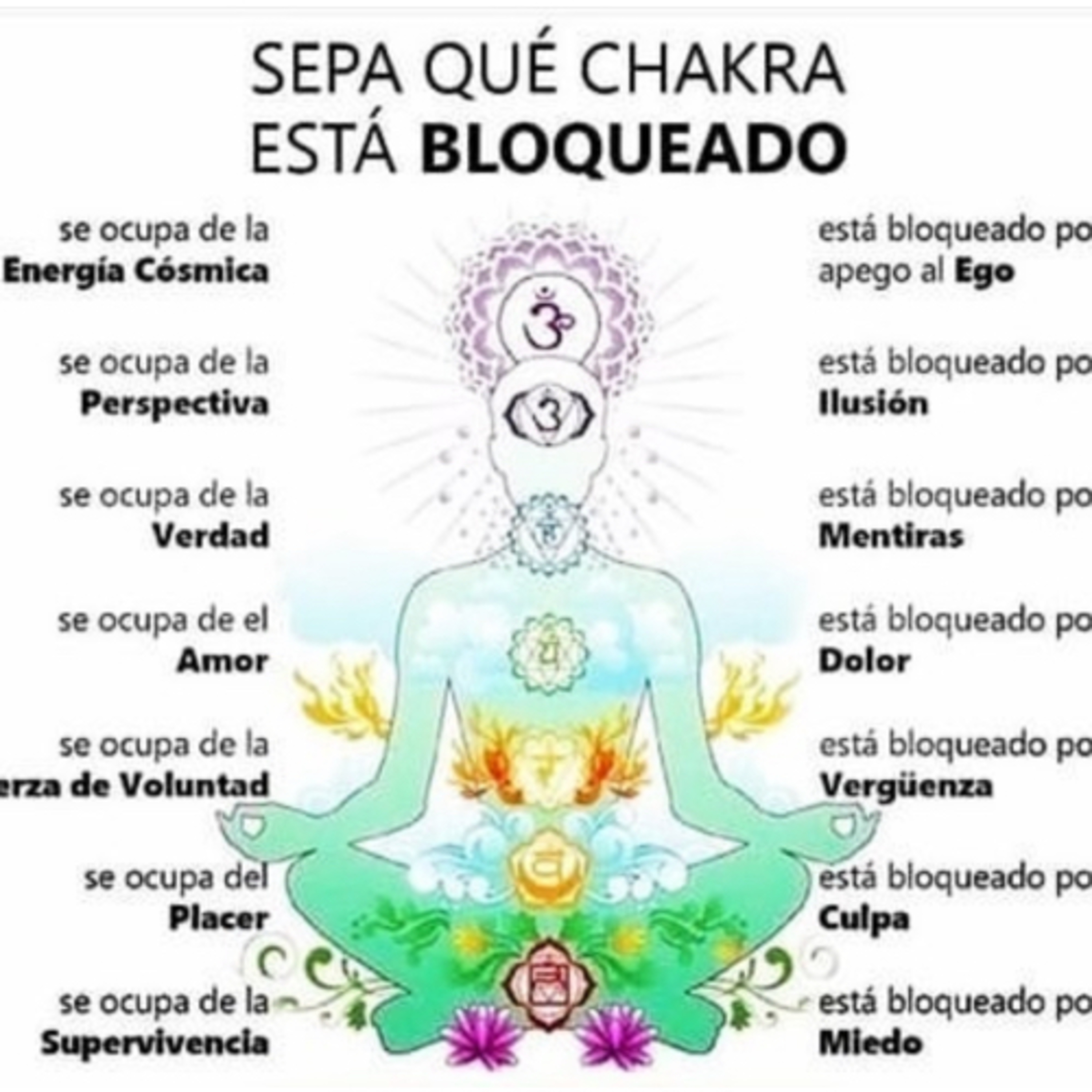 Auto limpieza de chacras  episode artwork