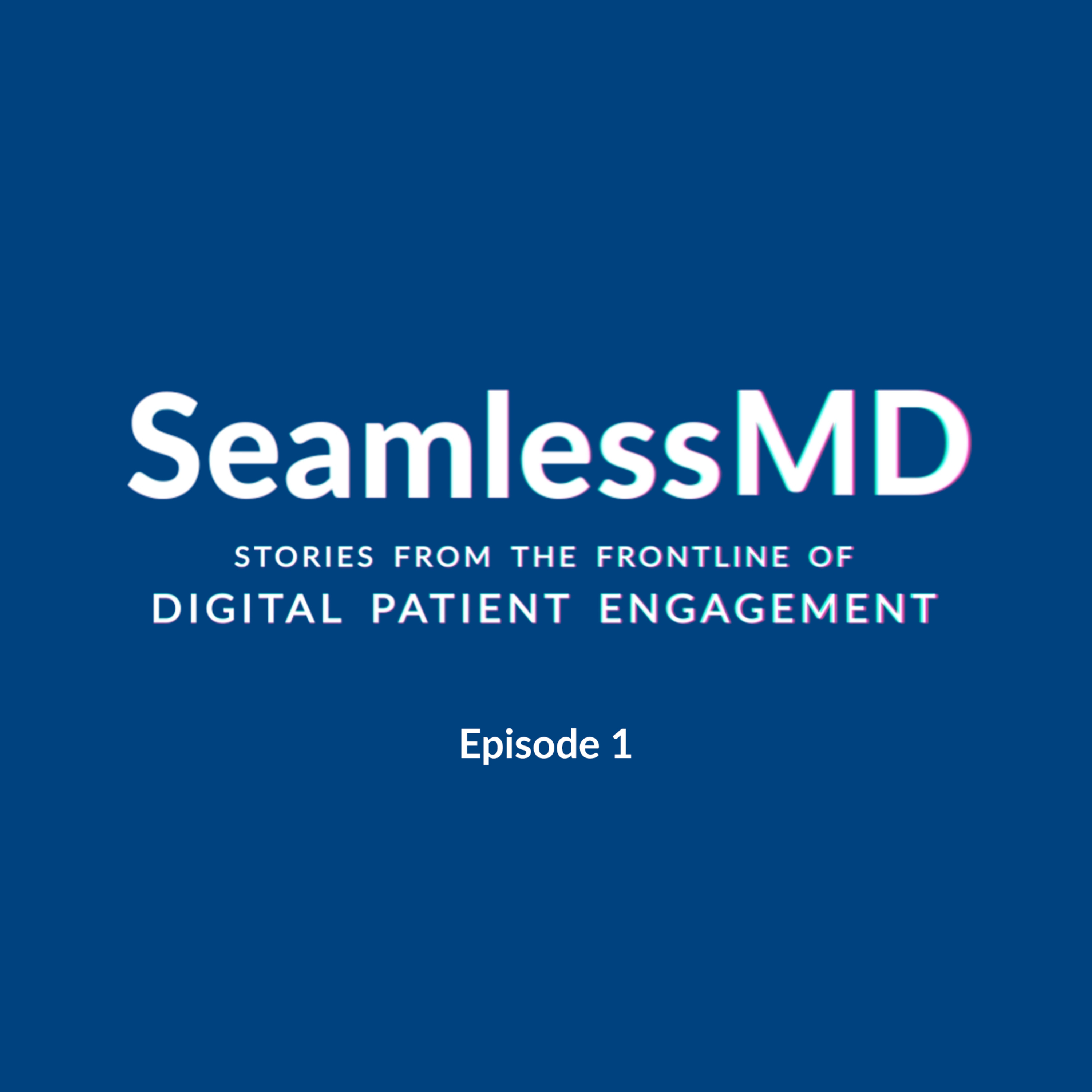 The Digital Patient