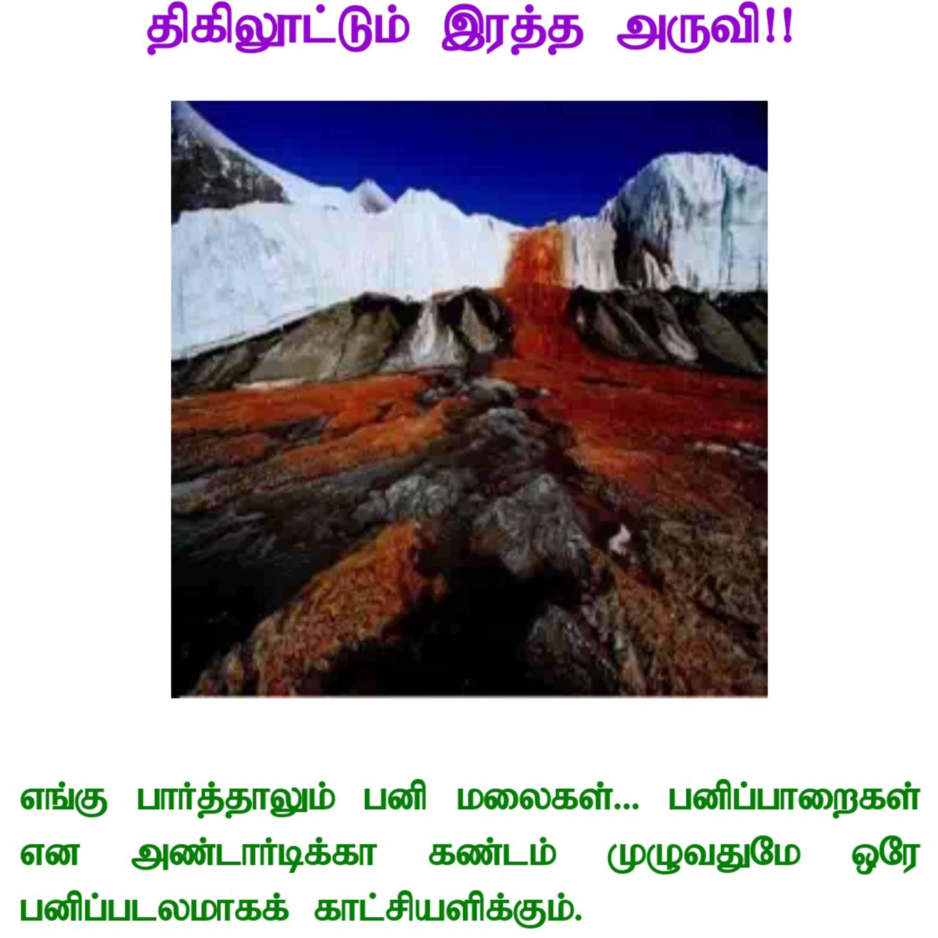 கதைகள் ஆயிரம்!