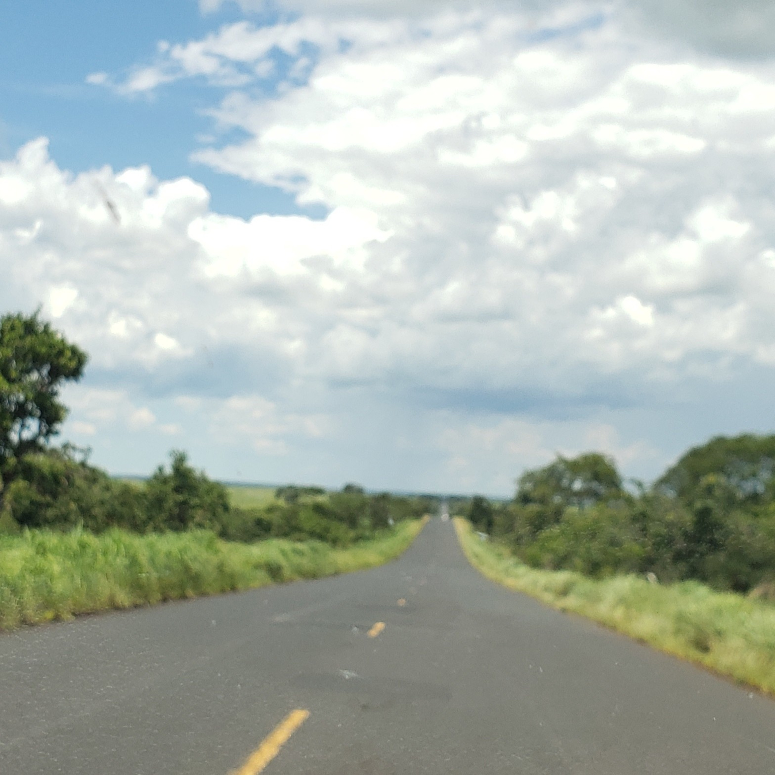 CAMINHOS INTERIORES