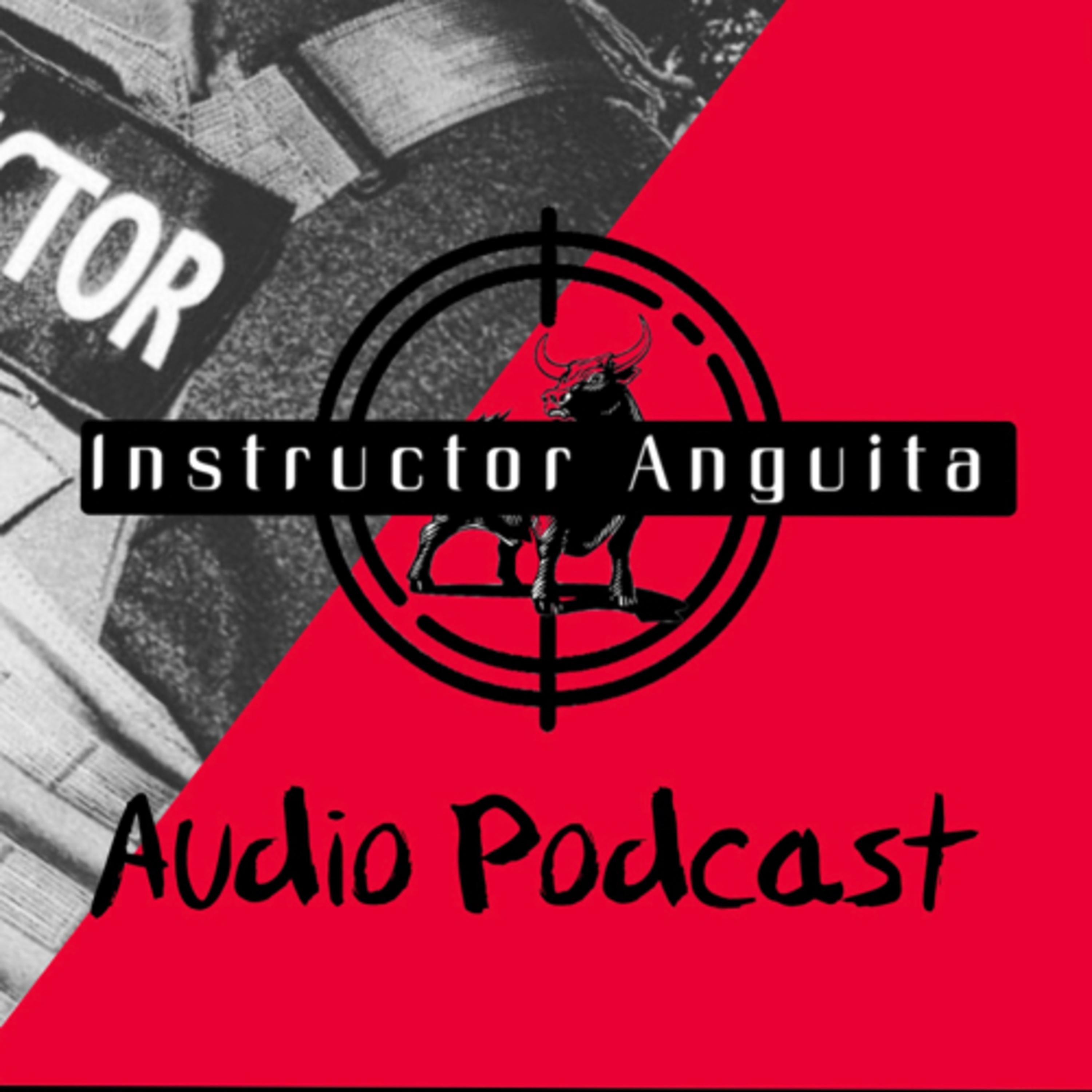 Instructor Anguita Audio Show episode artwork