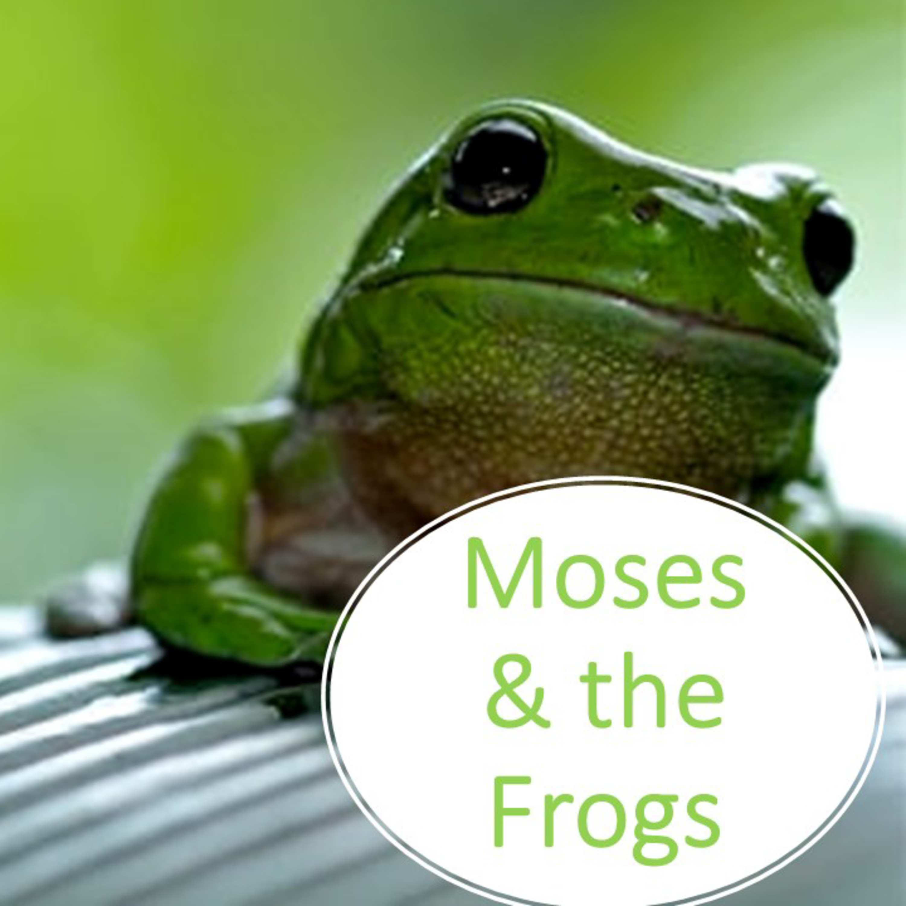 "Moses & The Frogs" - David Duncan episode artwork