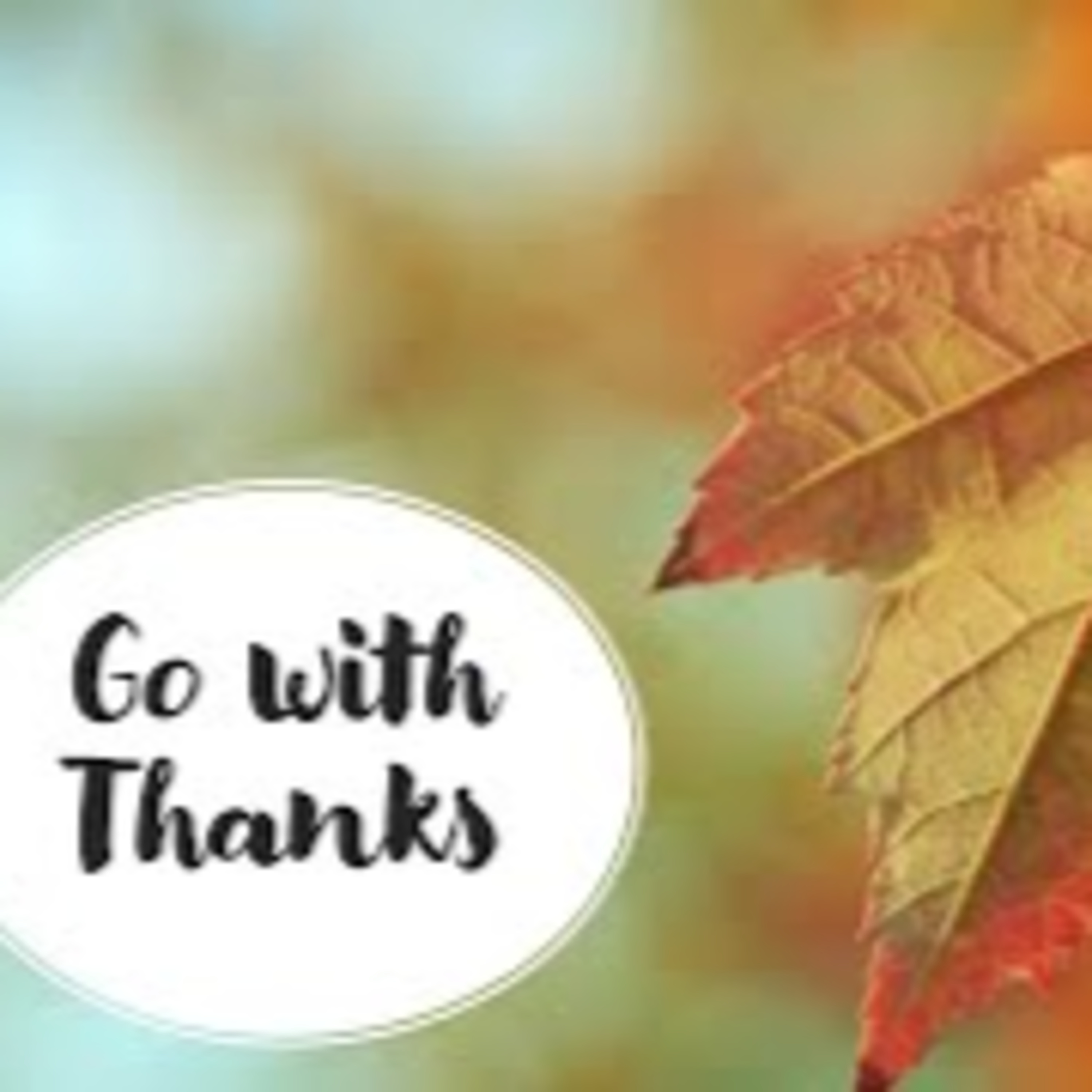 "Go With Thanks" - David Duncan episode artwork