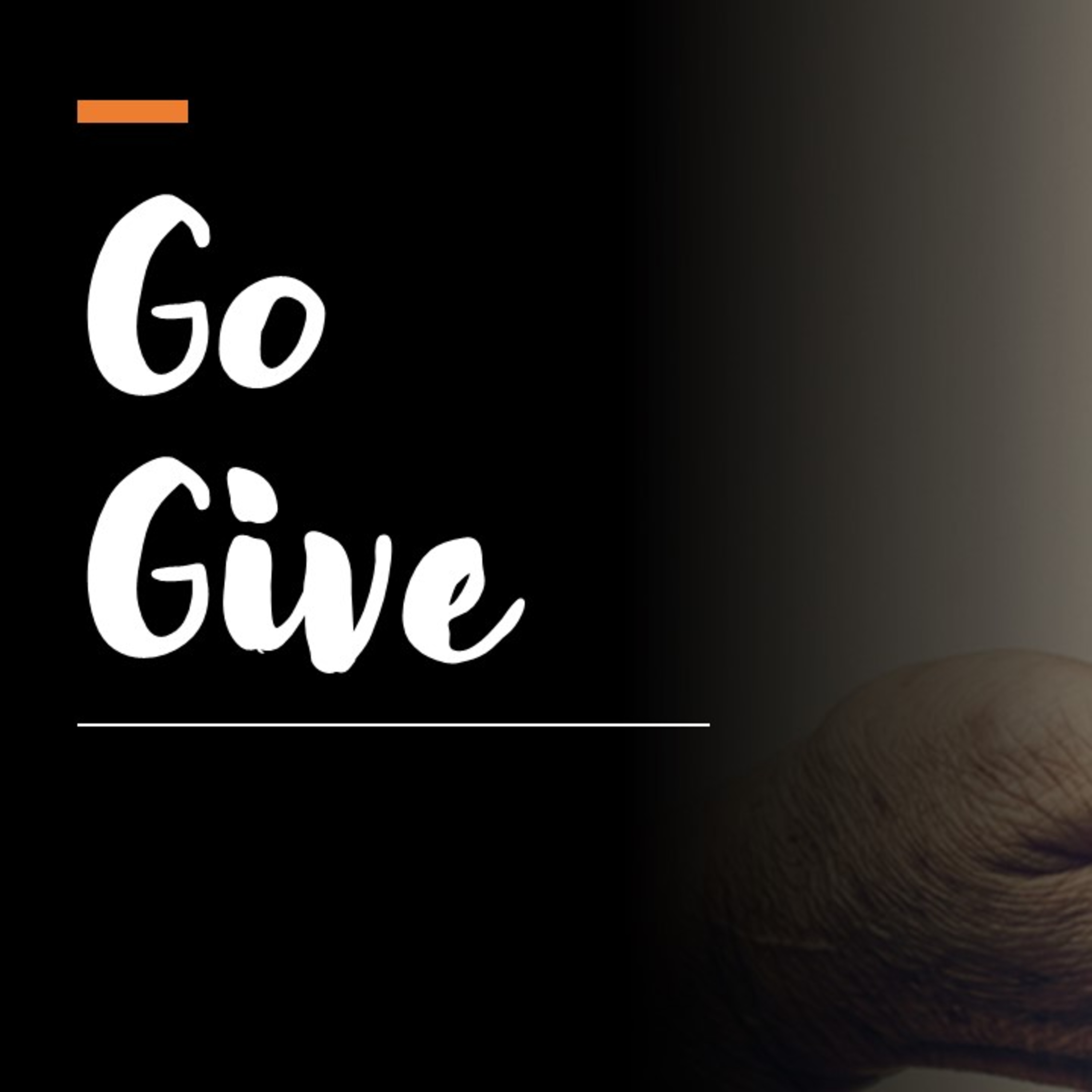 Go Give - David Duncan episode artwork