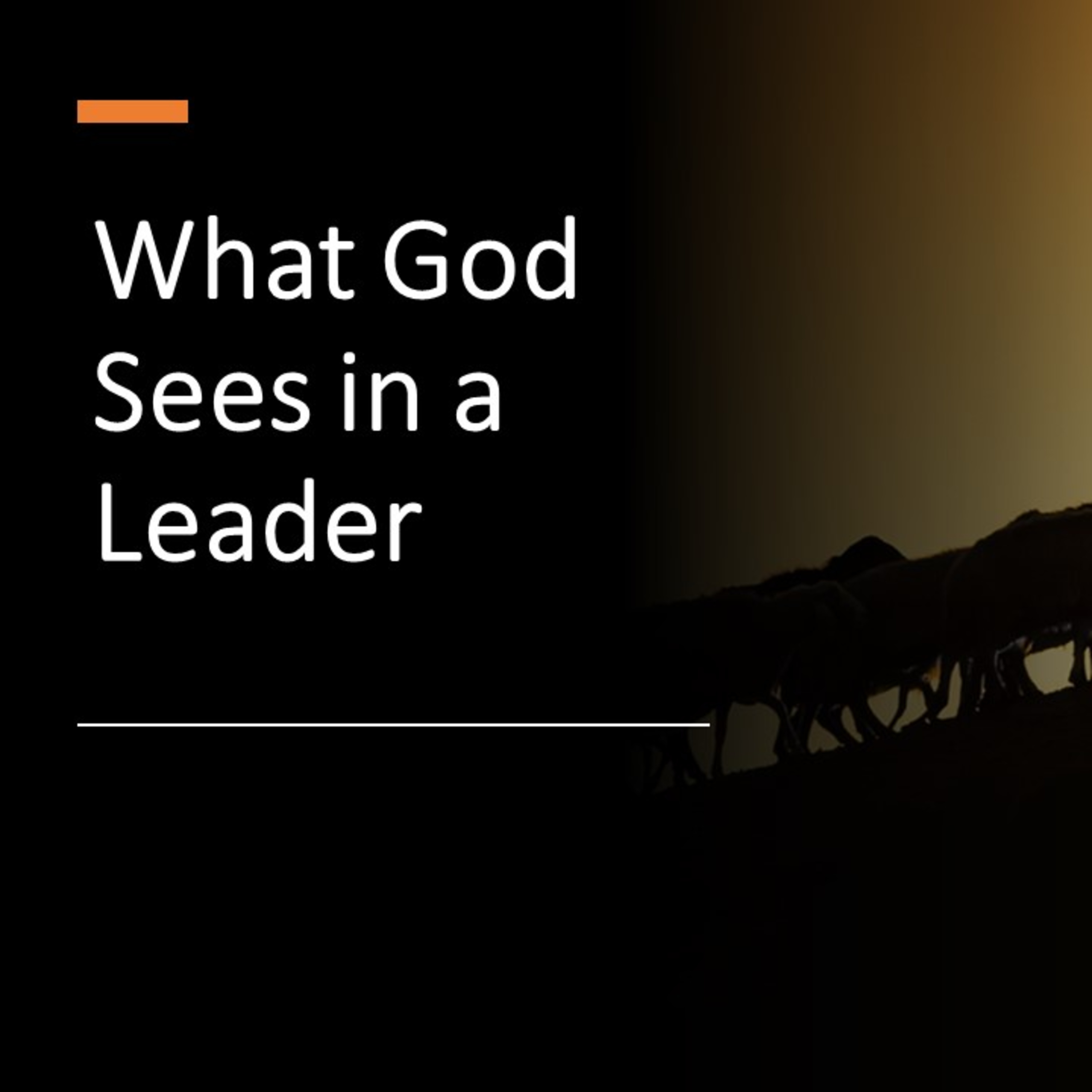 What God Sees in a Leader - David Duncan episode artwork