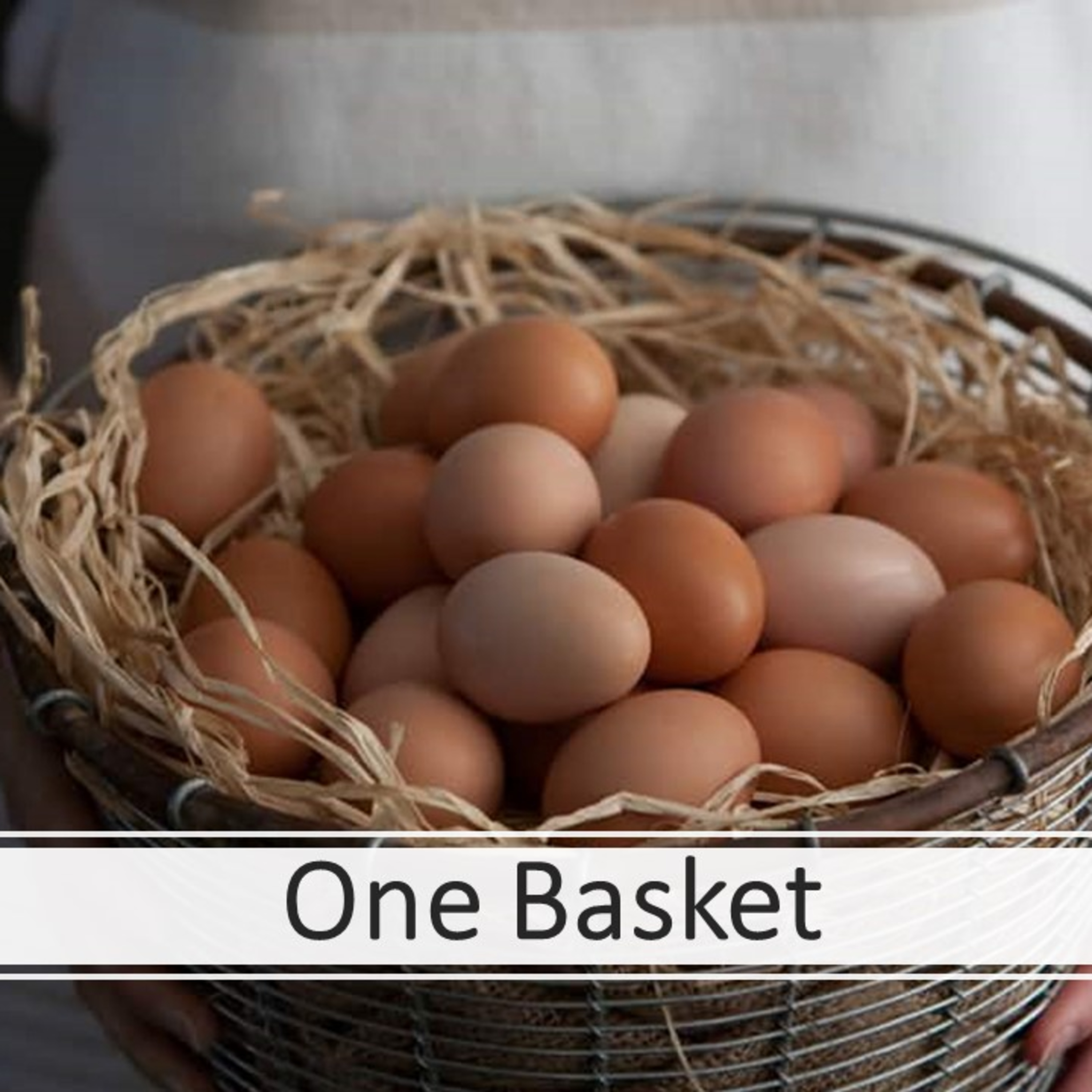 One Basket - David Duncan episode artwork