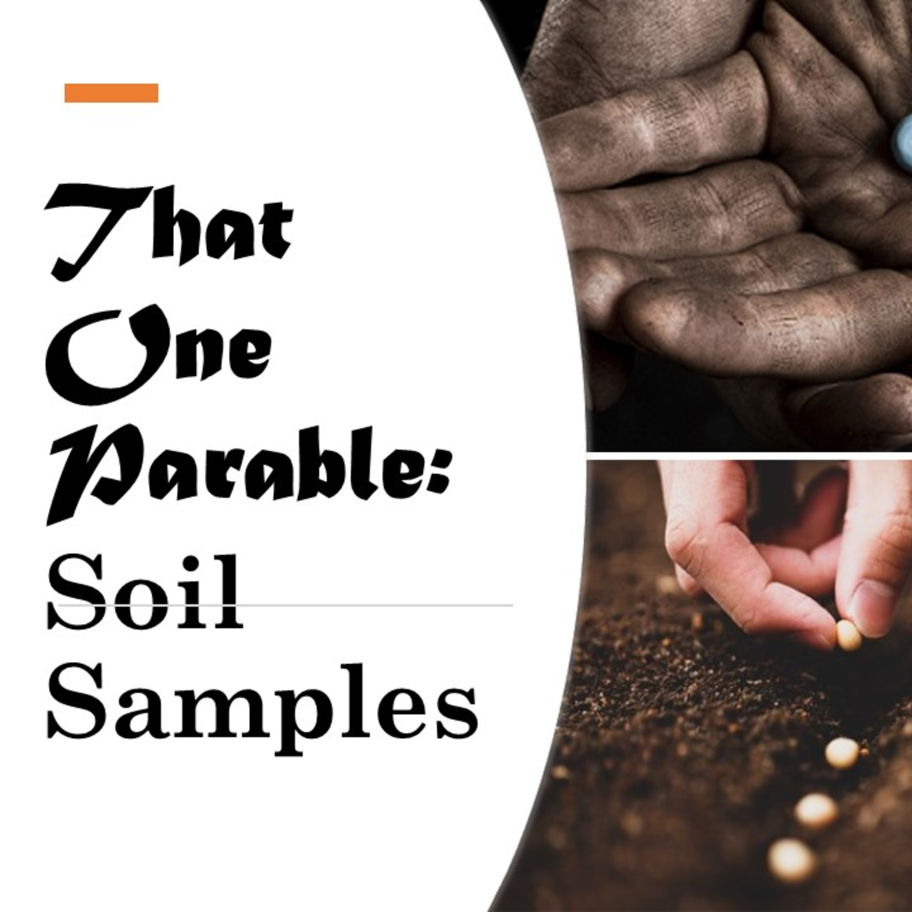 That One Parable: Soil Samples - David Duncan episode artwork