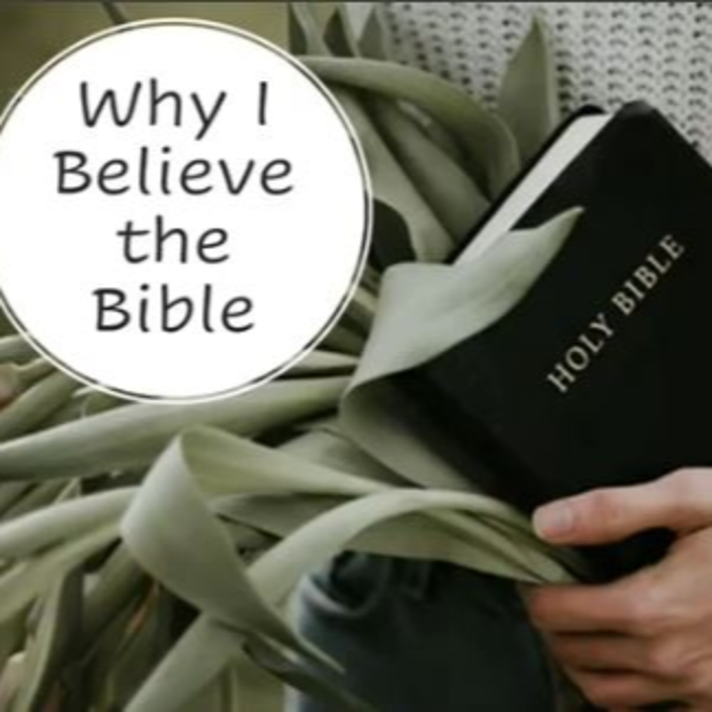 Why I Believe The Bible - David Duncan episode artwork