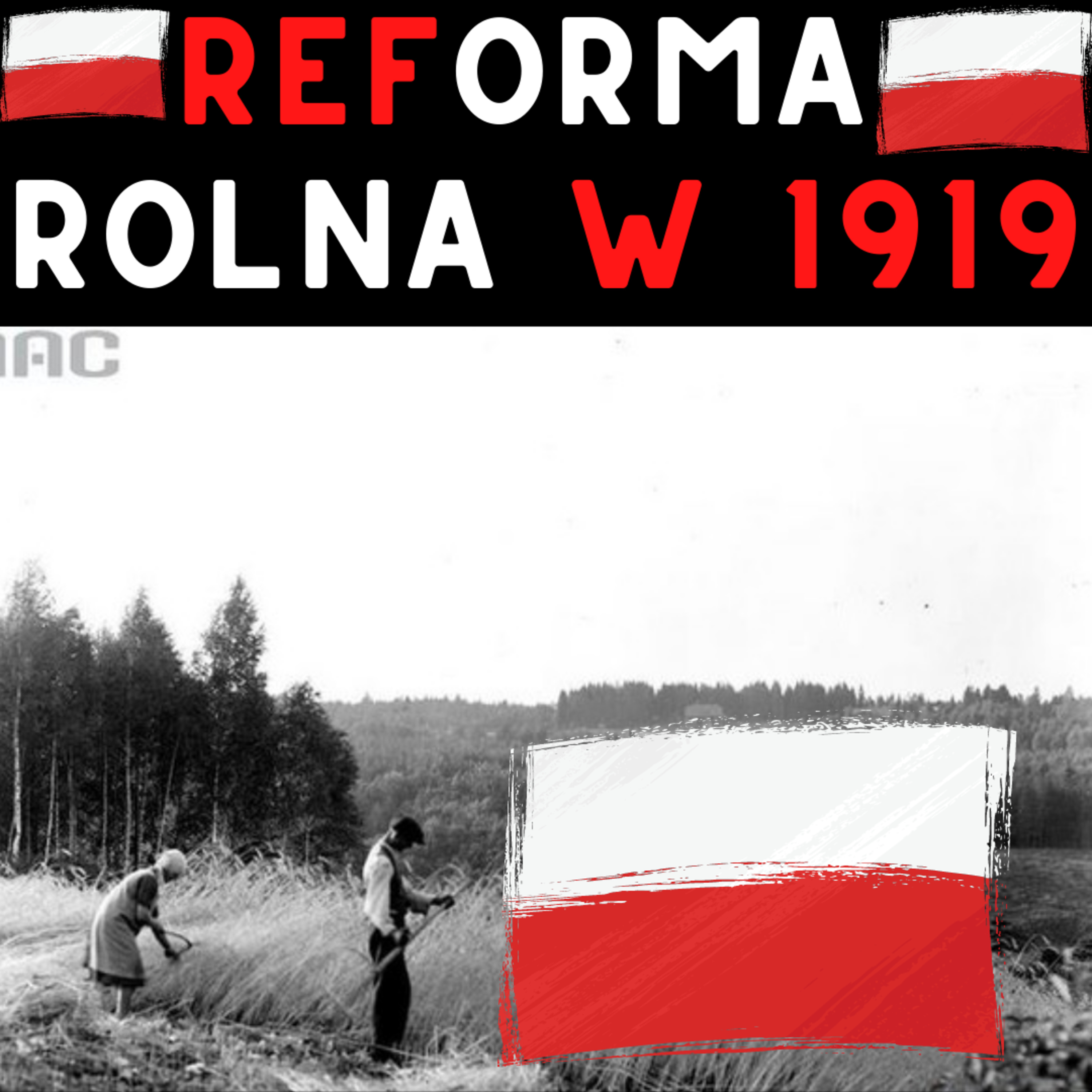 Niepodległa Historia