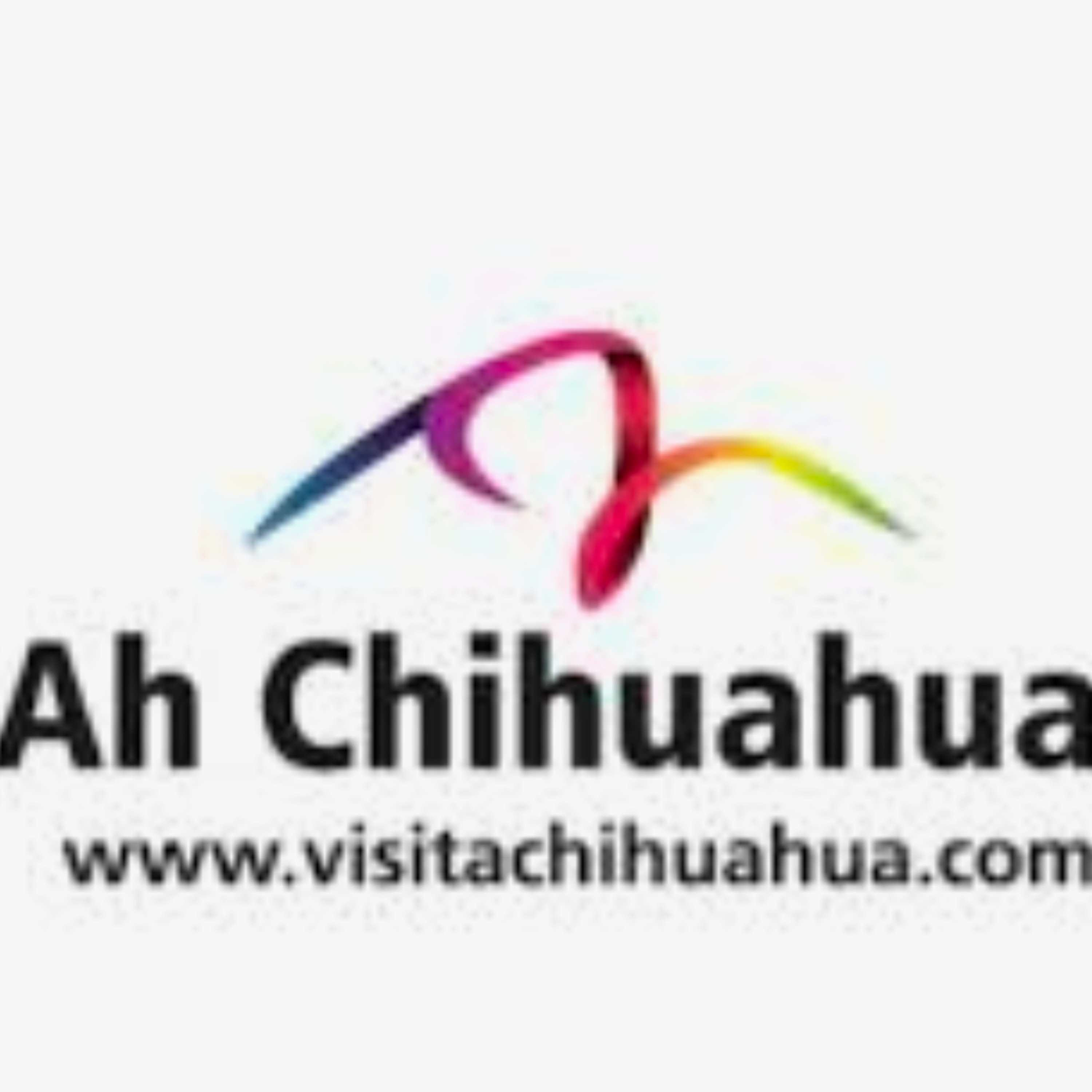 ¡Ah Chihuahua! ¿Qué viene en el 2021 para el Estado Grande de México?