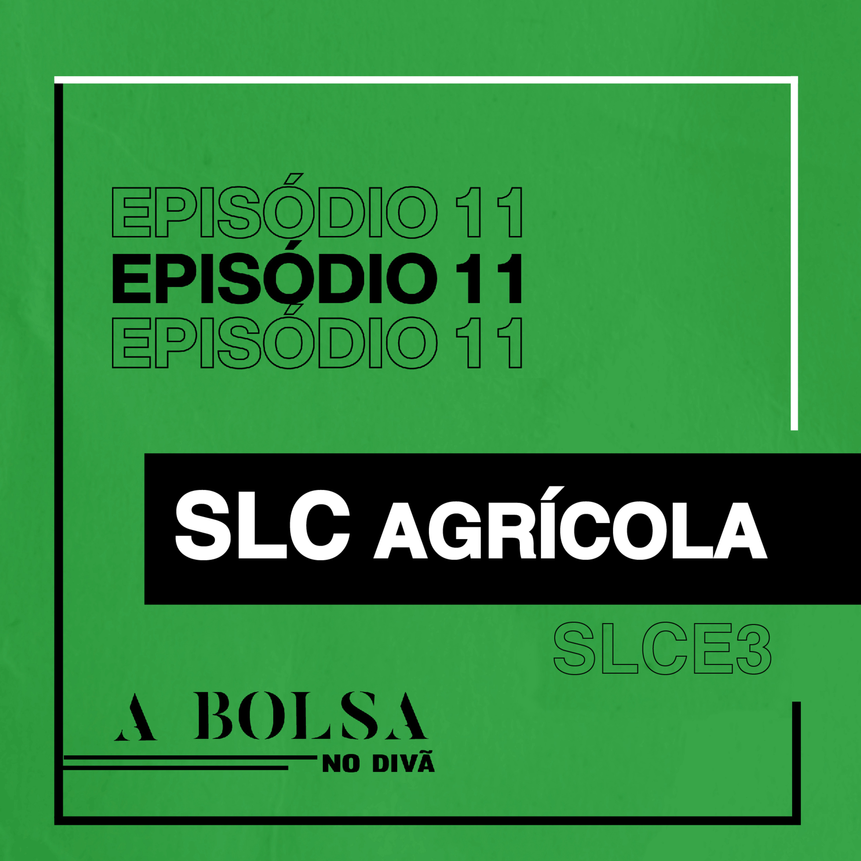 A Bolsa no Divã