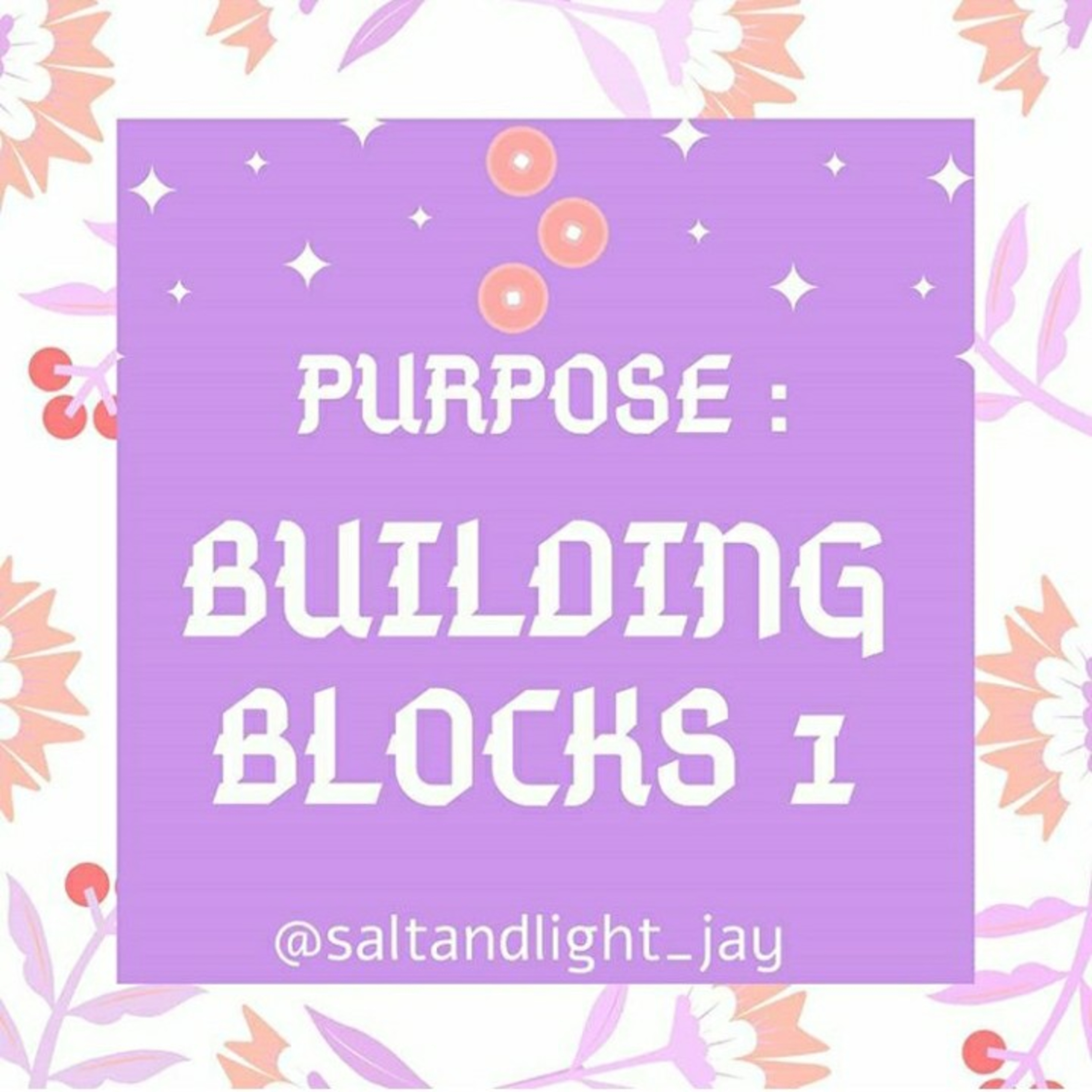 Purpose: Building Blocks 1 episode artwork
