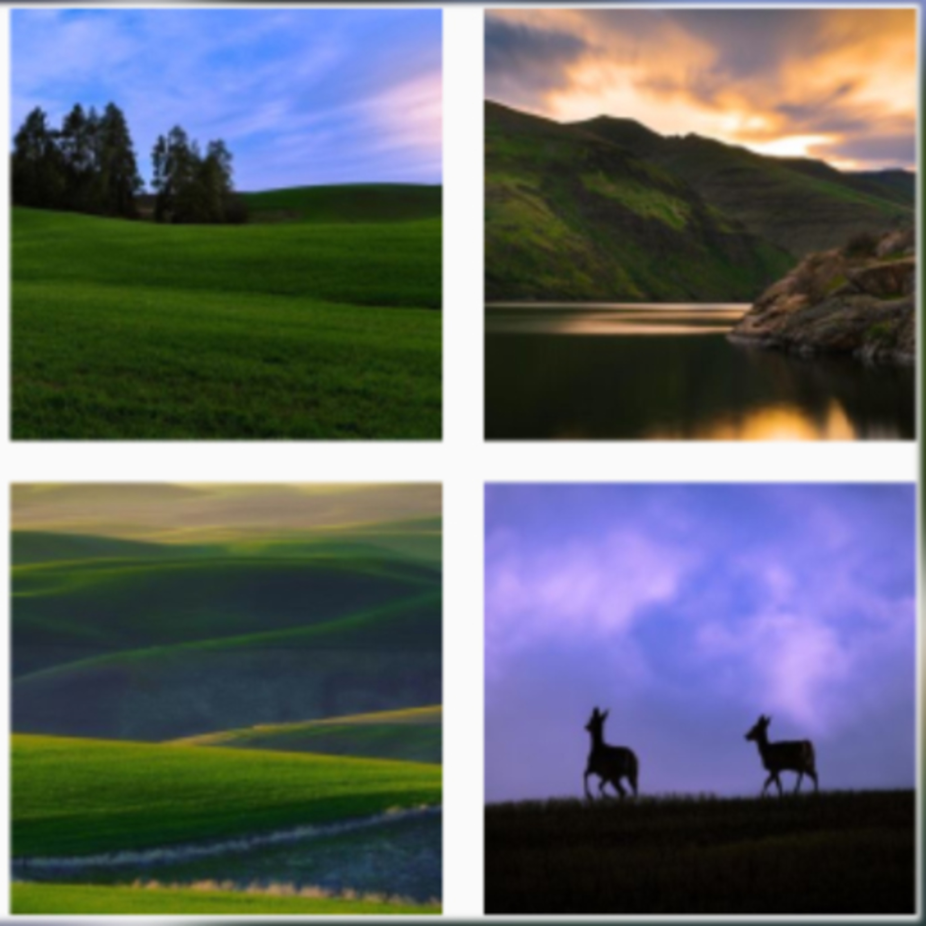 Outdoor photography with @mccann_compositions (P.O.E.P. 002) episode artwork