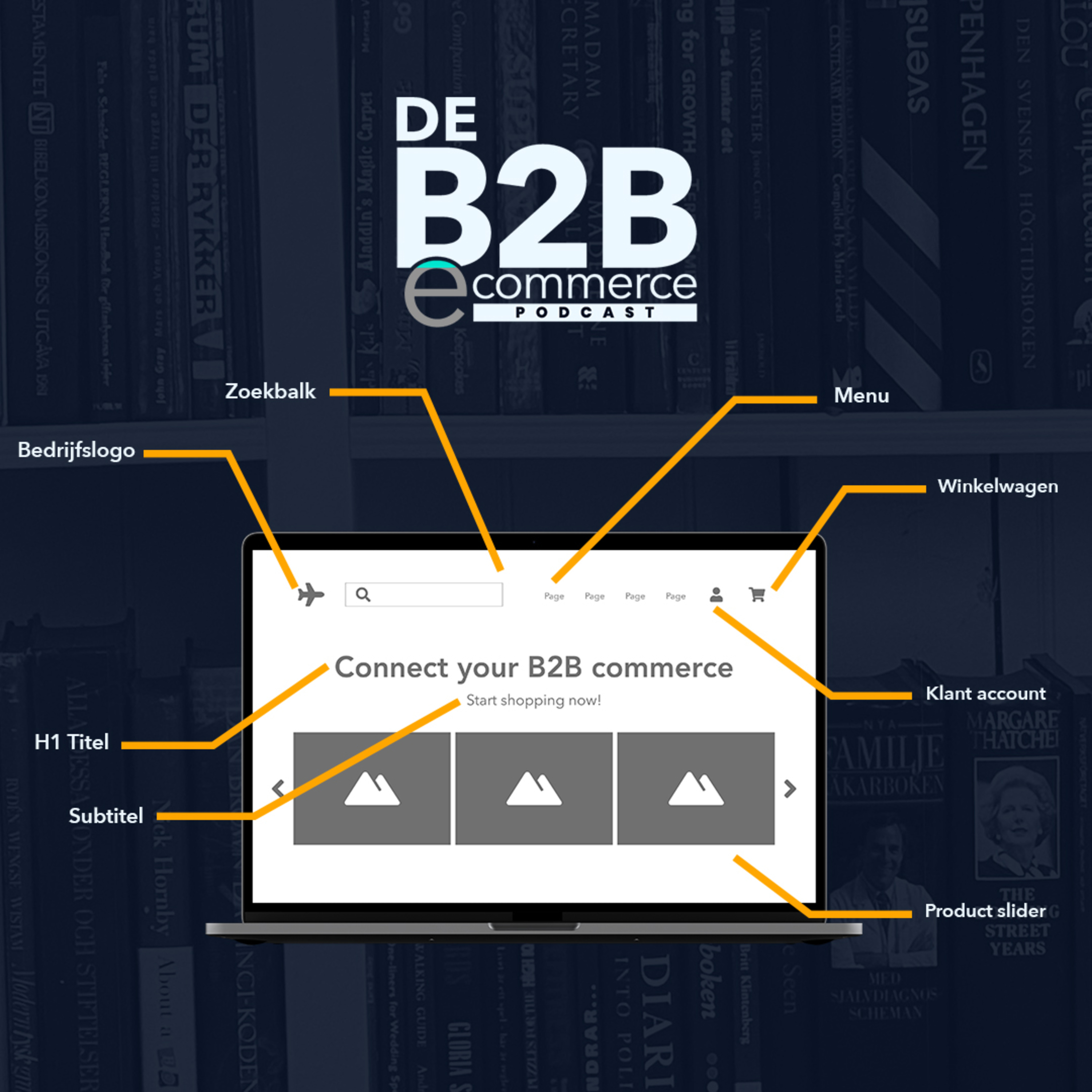 De anatomie van een B2B-webshop: de homepage