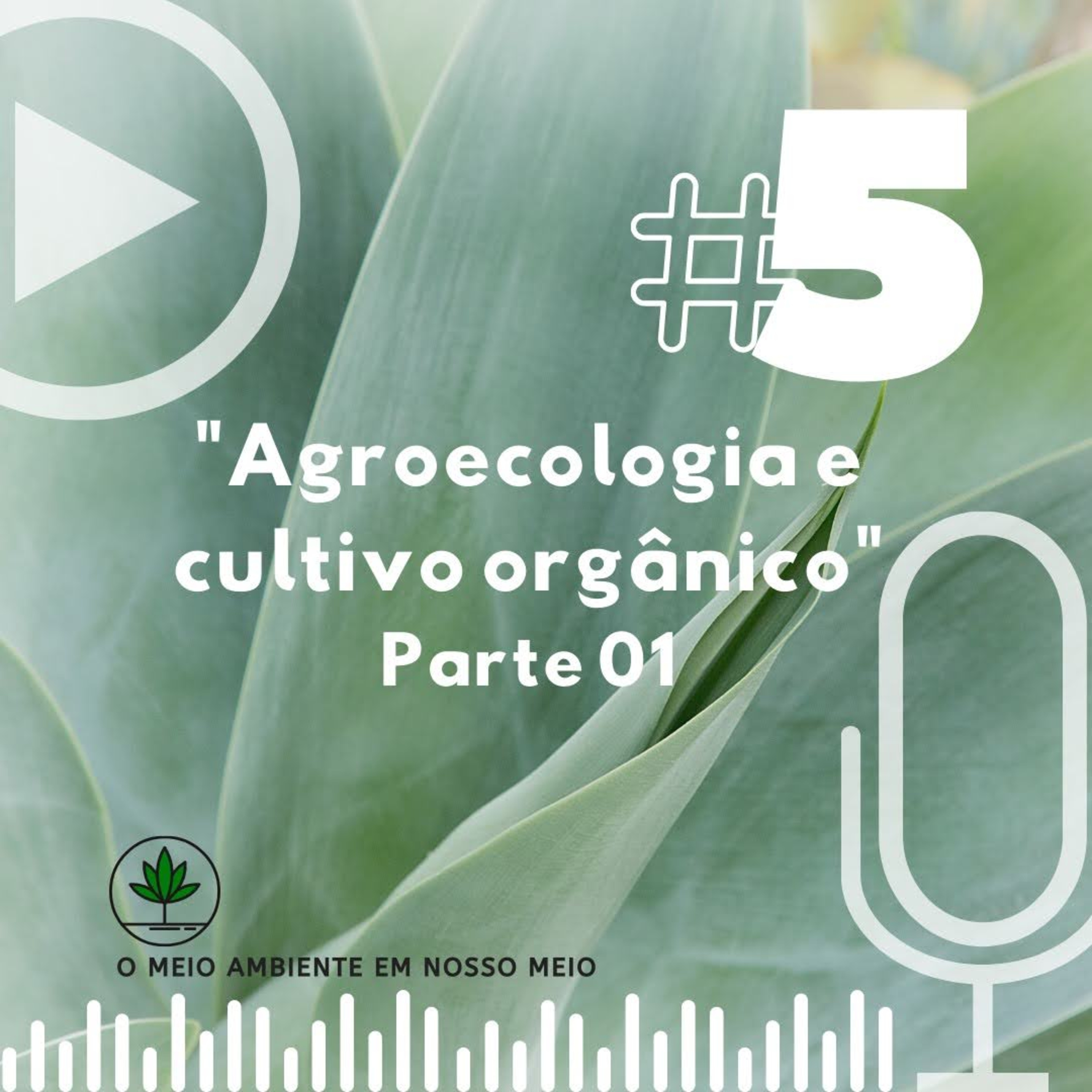 Agroecologia e cultivo orgânico - parte 1