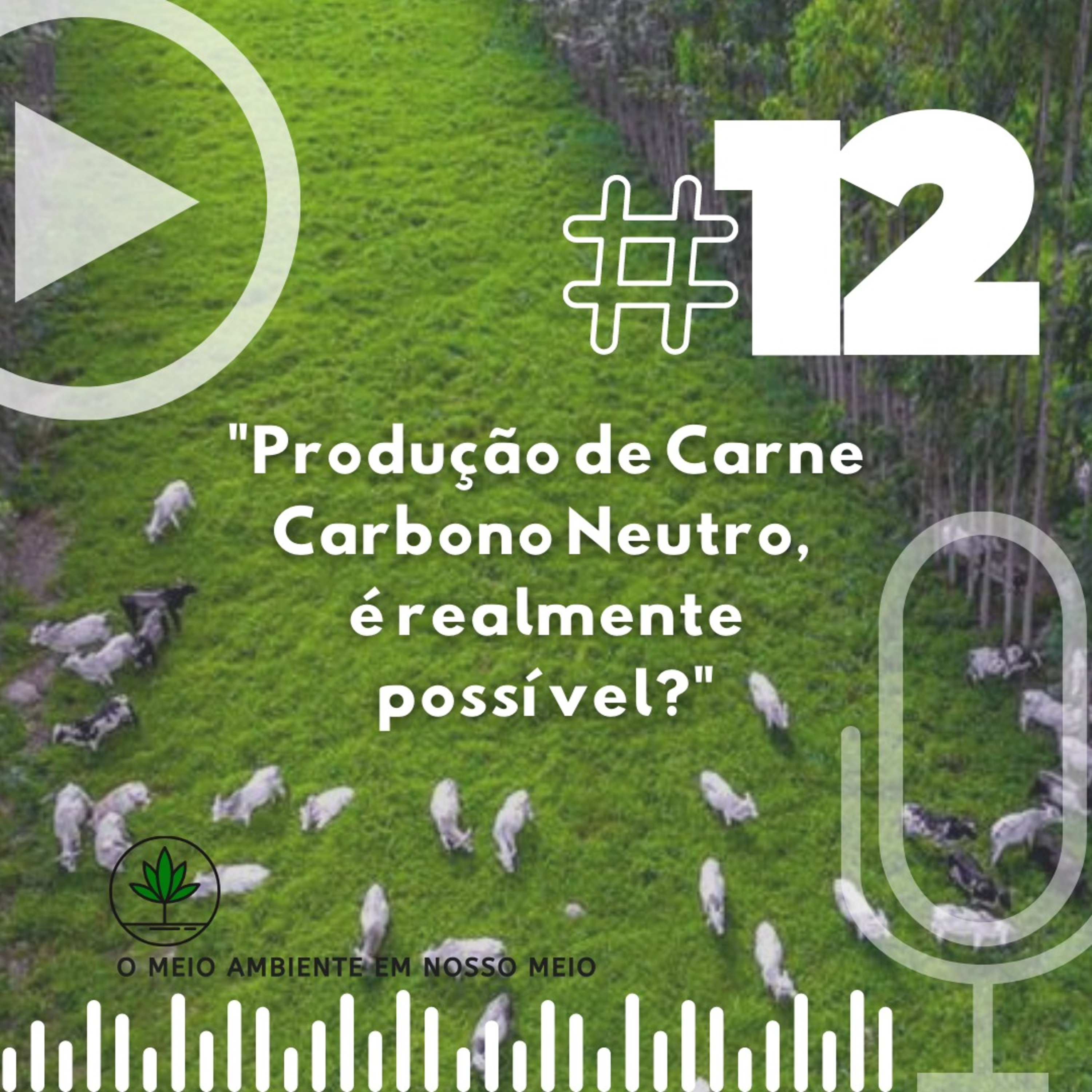 Produção de Carne Carbono Neutro, é realmente possível?