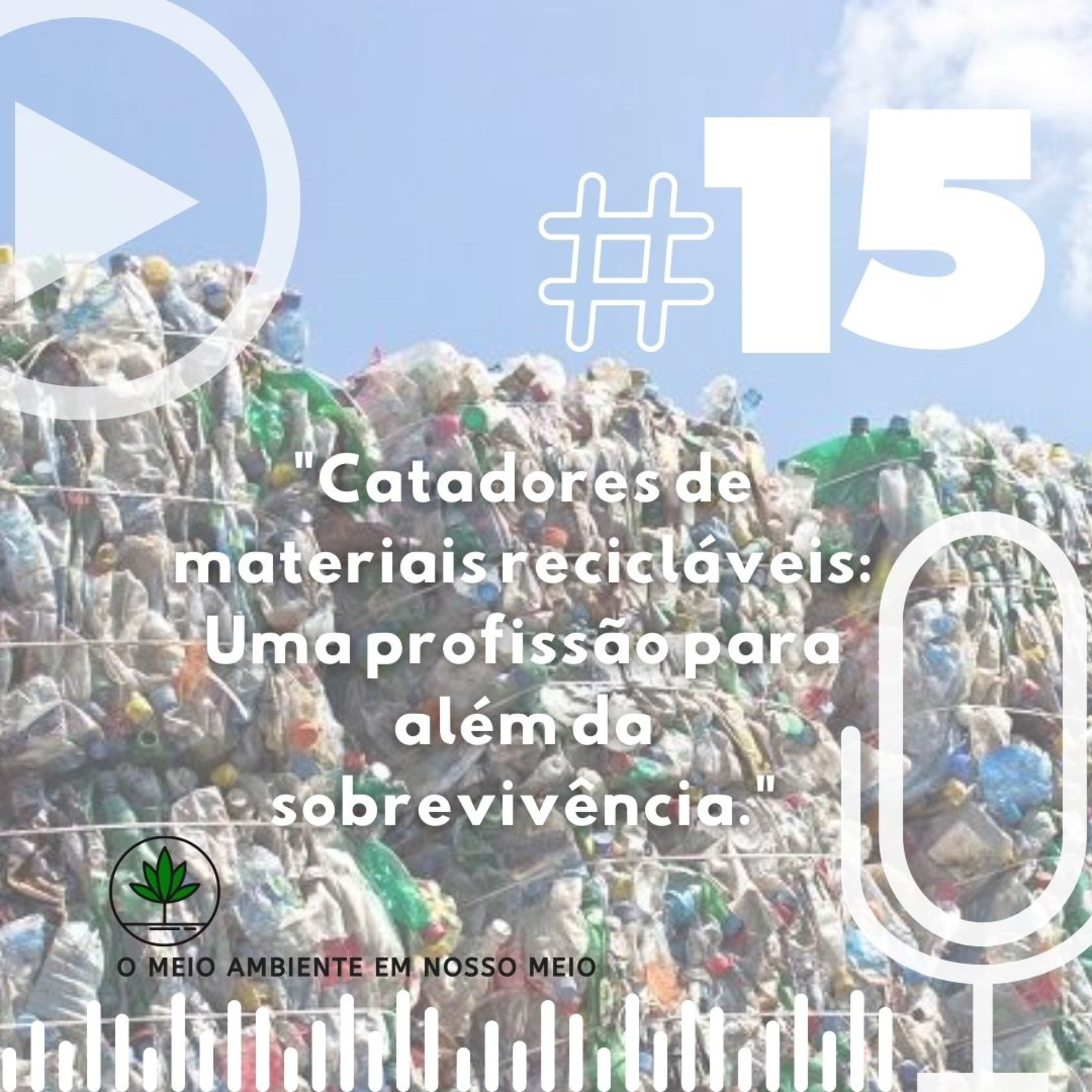 Catadores de materiais recicláveis: Uma profissão para além da sobrevivência