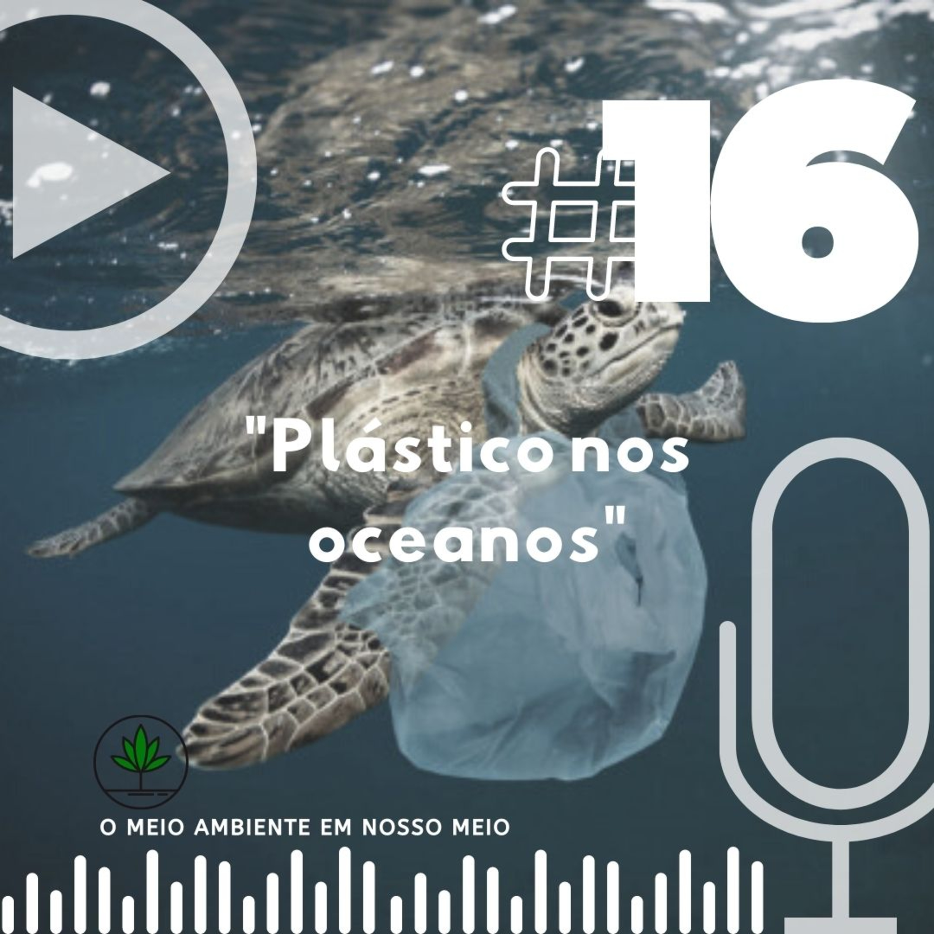 Plásticos nos oceanos