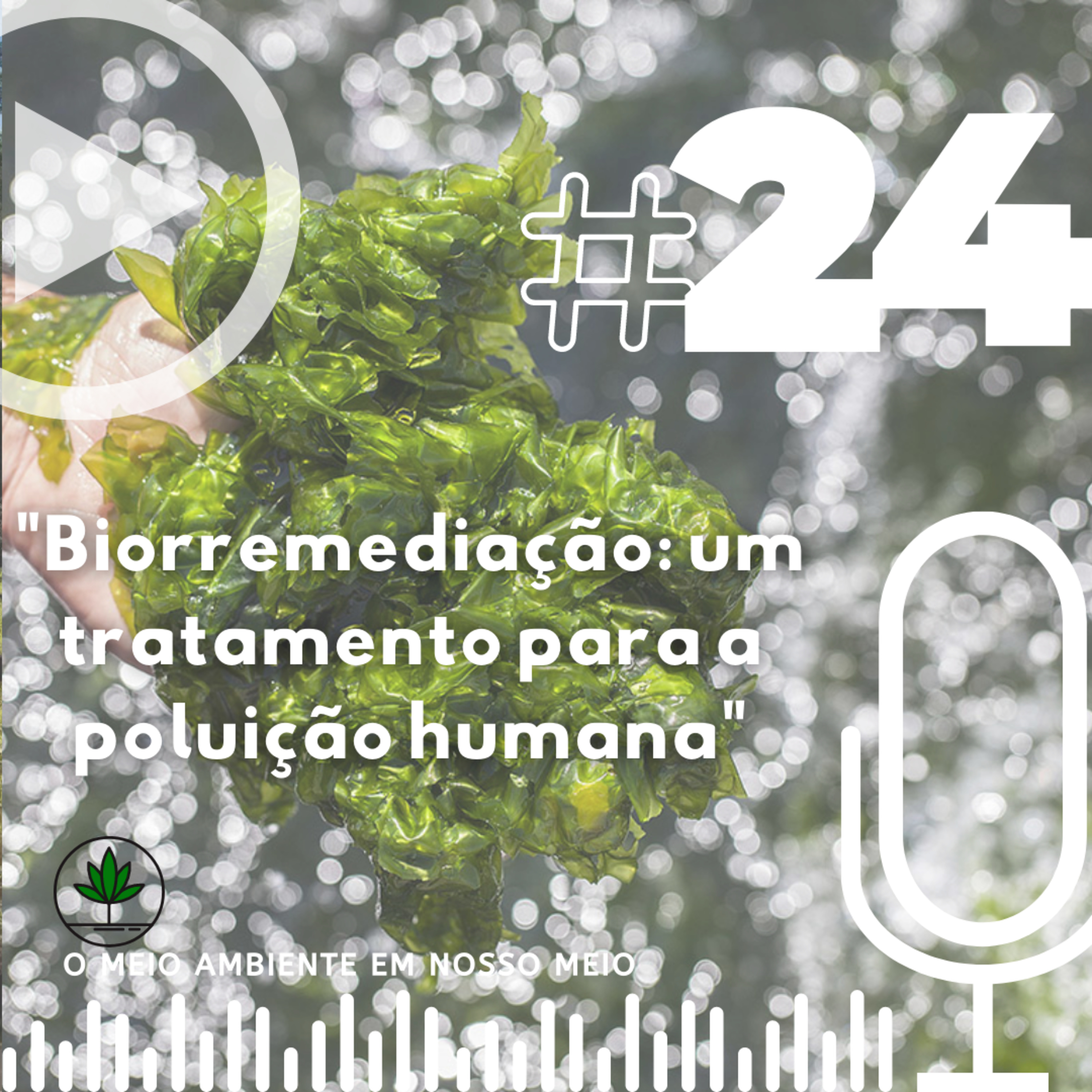 Biorremediação: um tratamento para a poluição humana