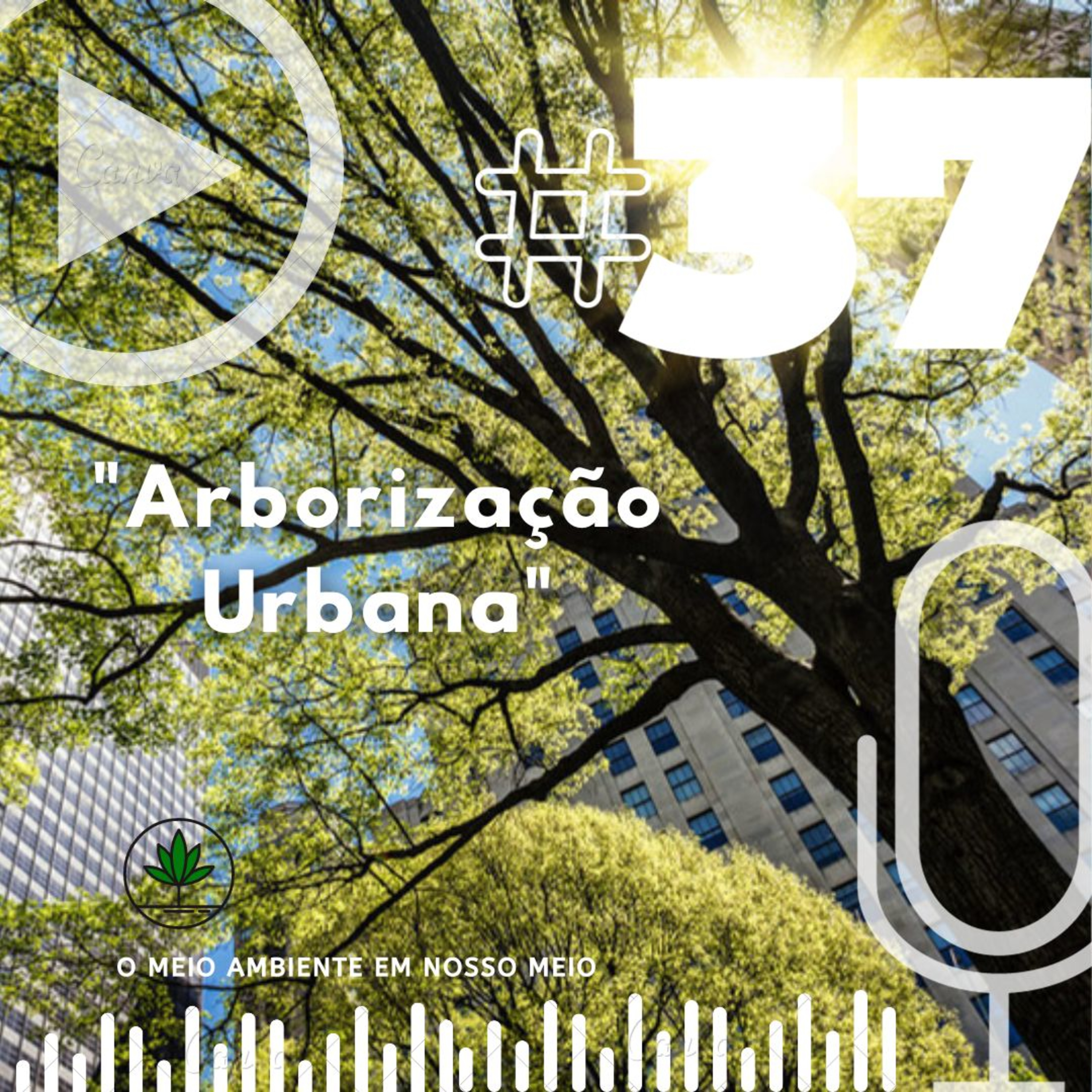 Ep. 37 - Arborização Urbana