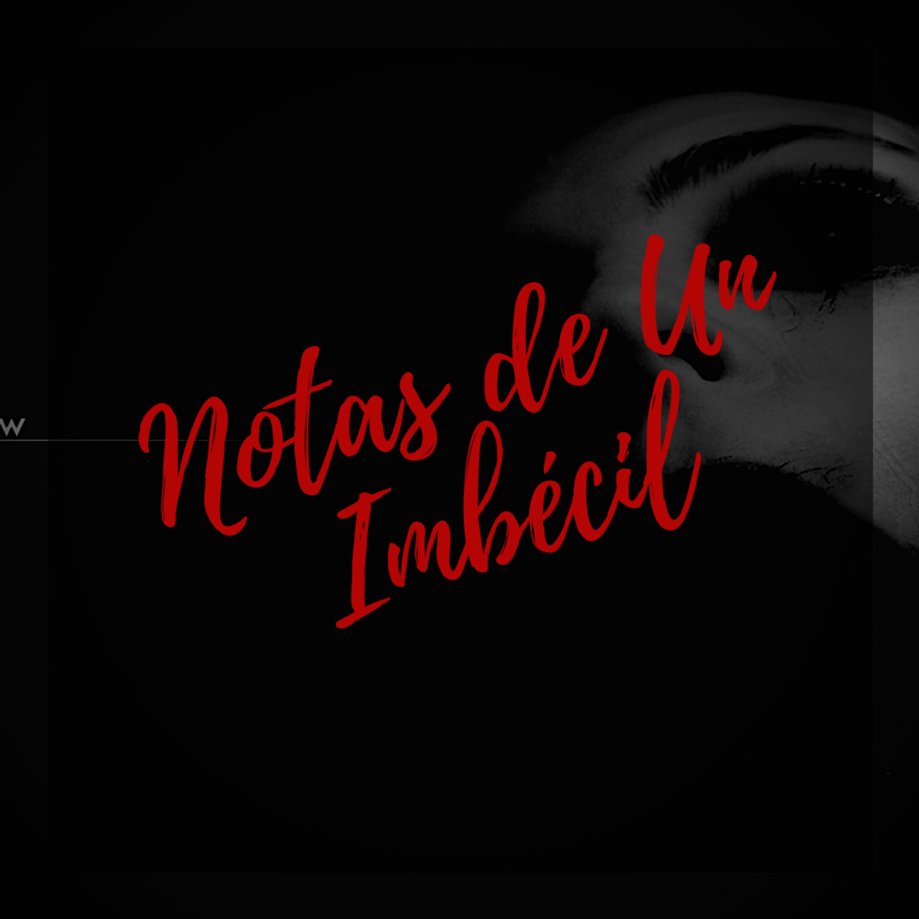 #17 Notas de un Imbécil || Relato