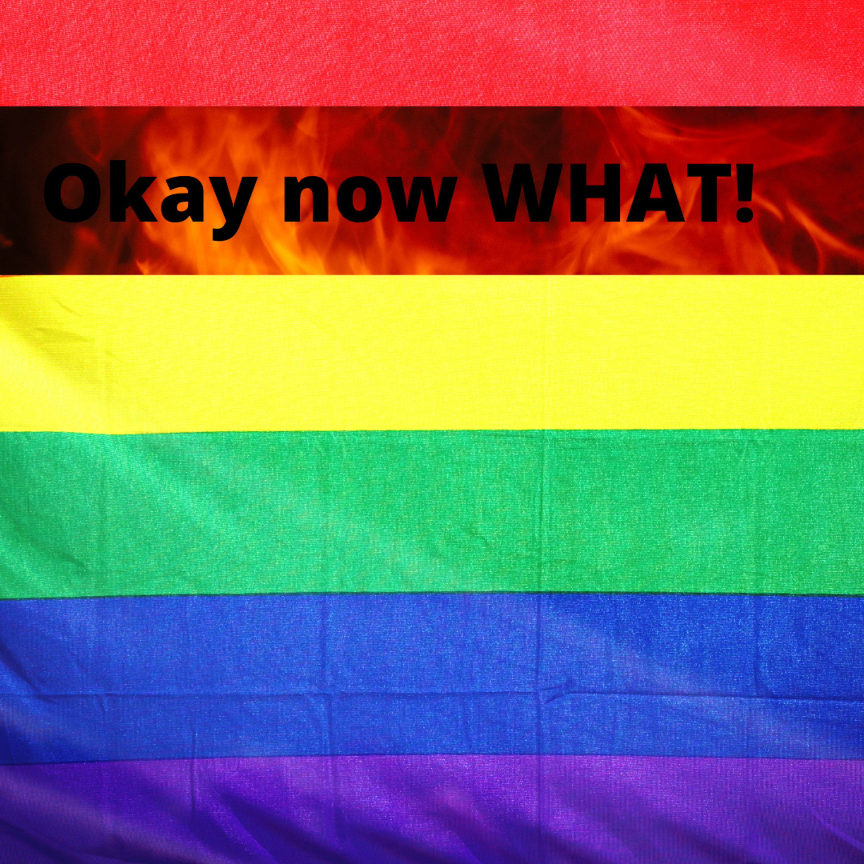 Happy corporate pardering month | Why pride month is a JOKE!  episode artwork
