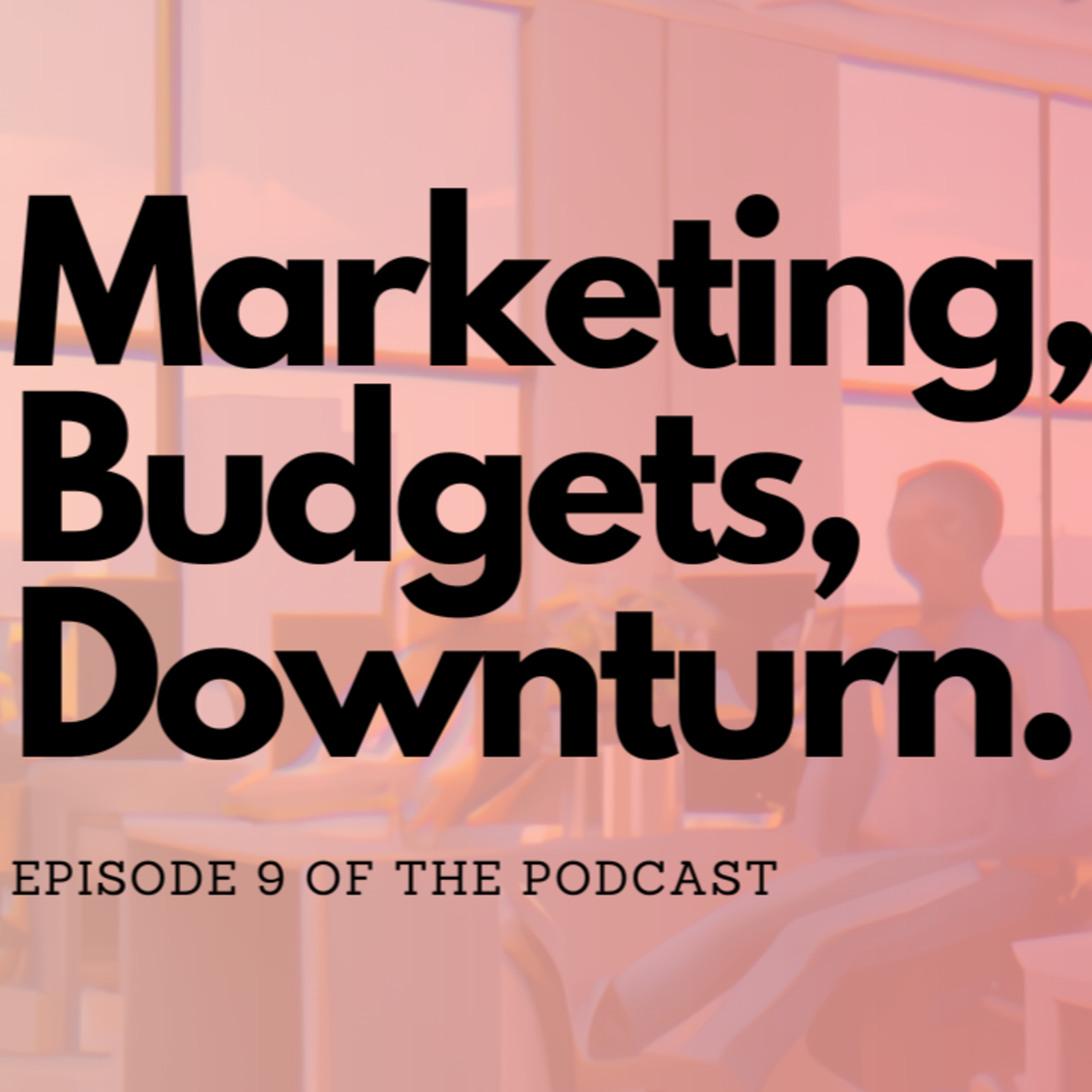 Marketing, Budgets and the Downturn episode artwork