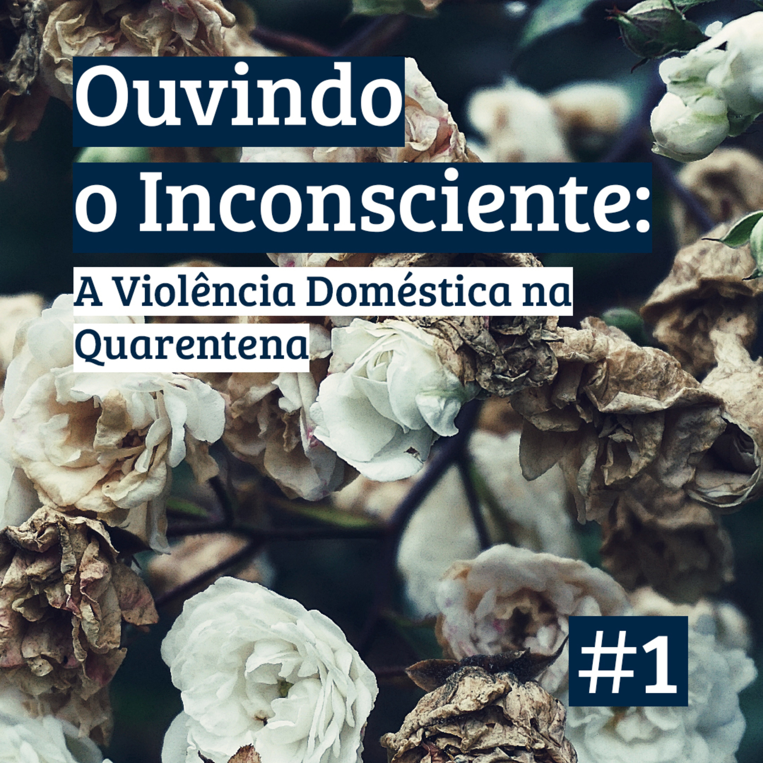 Ouvindo o Inconsciente #1 - A violência doméstica na quarentena (com Maria Eduarda Hagel e Fernanda Bittner)