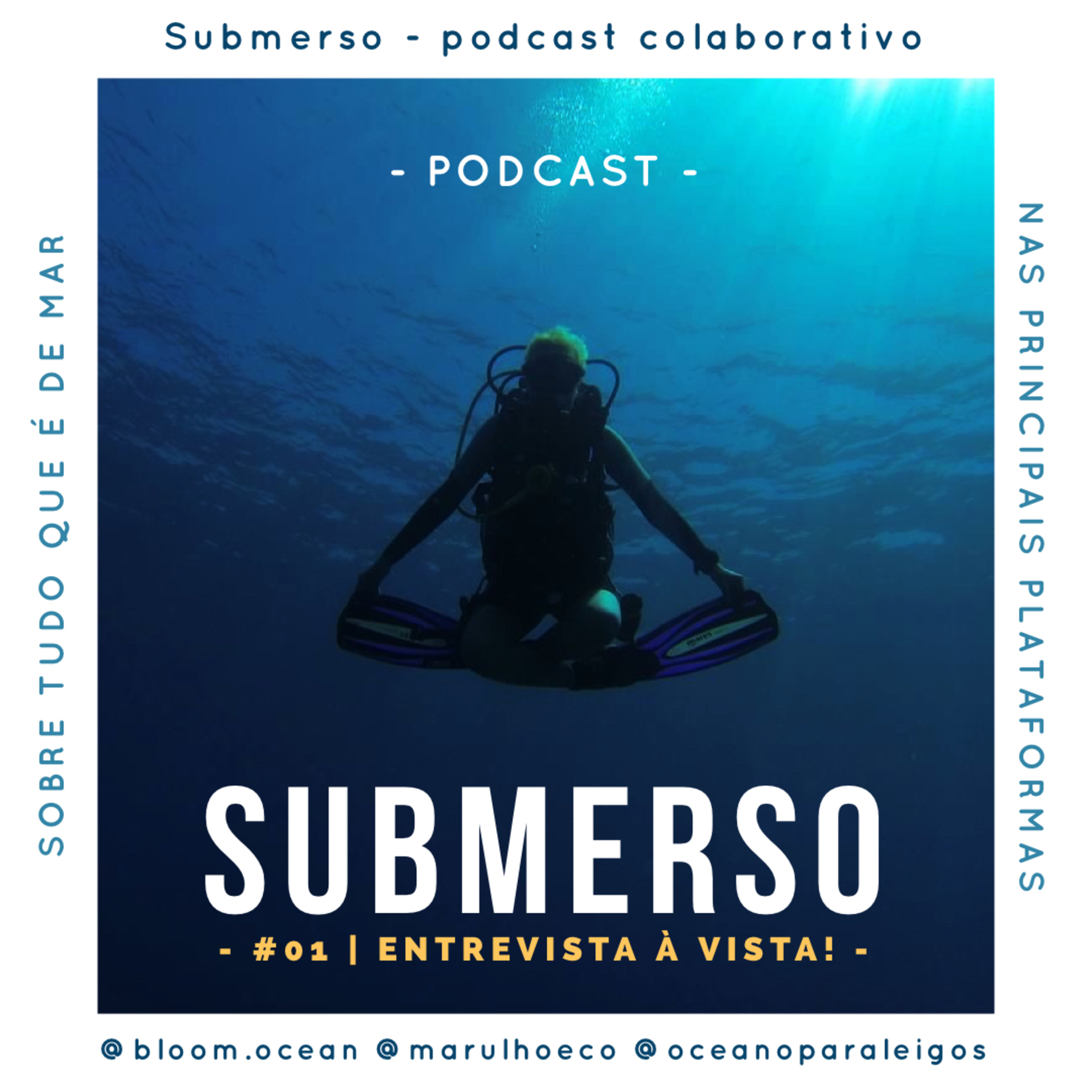 Submerso