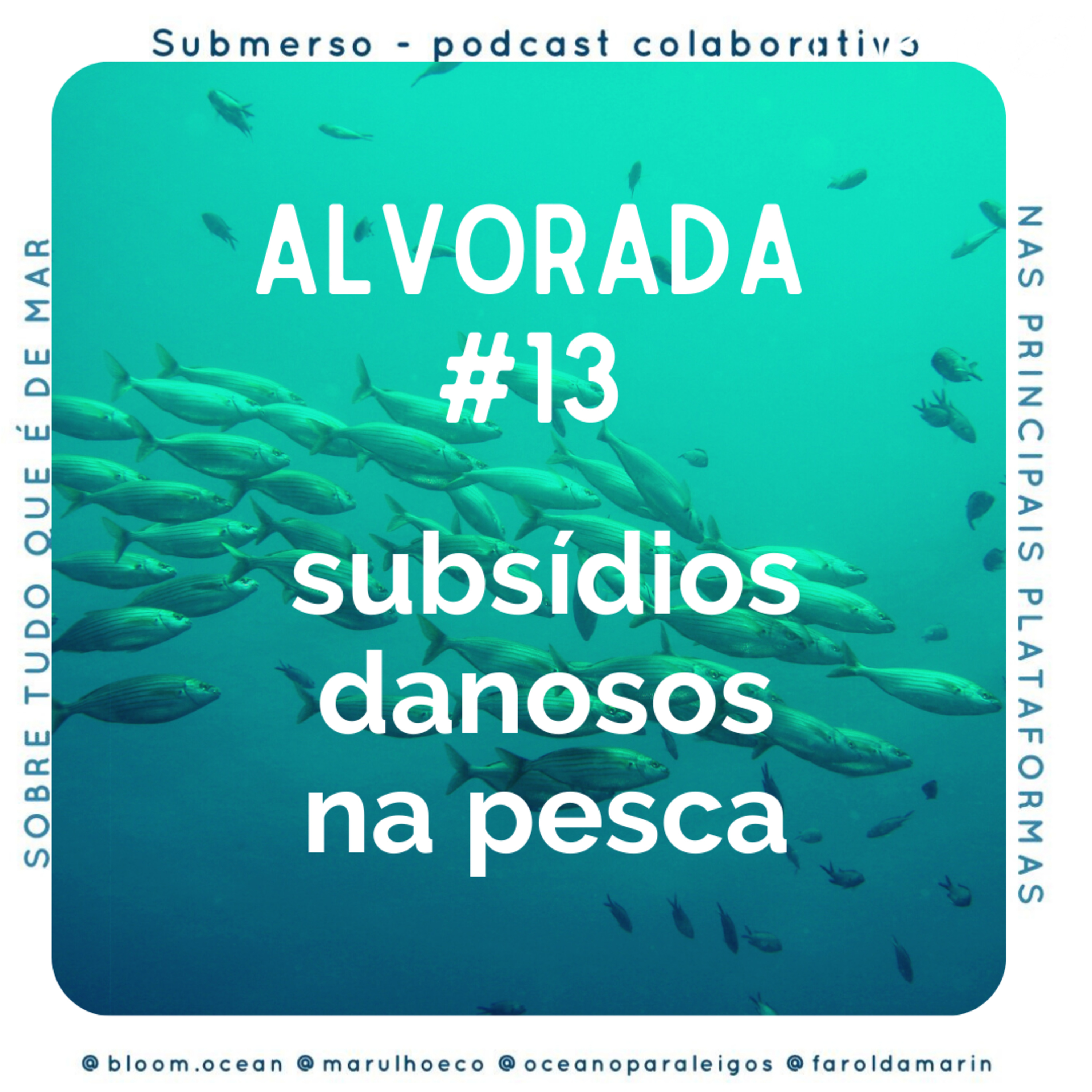 Alvorada #13 - Pesca e Subsídios Danosos
