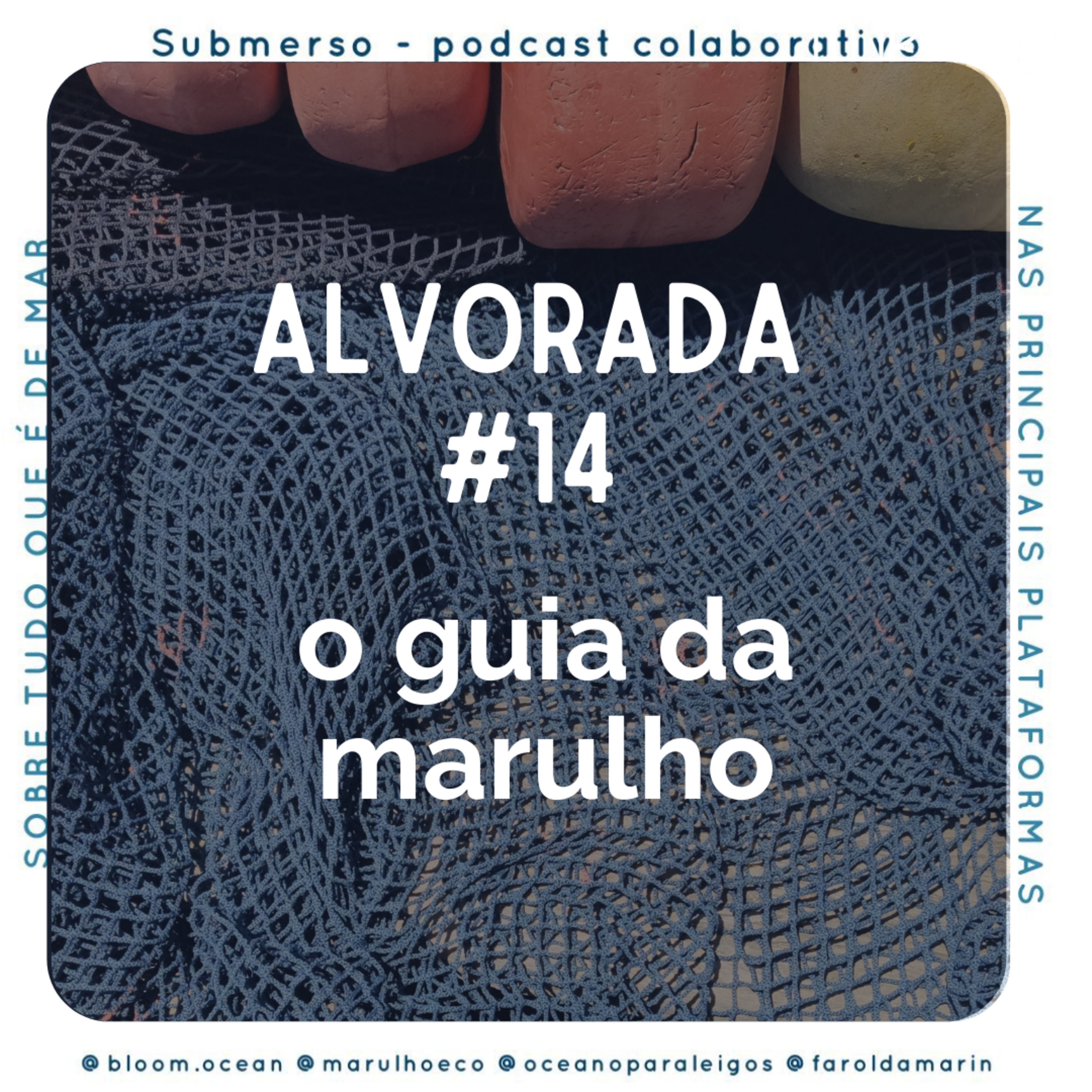 Alvorada #14 - o guia da marulho
