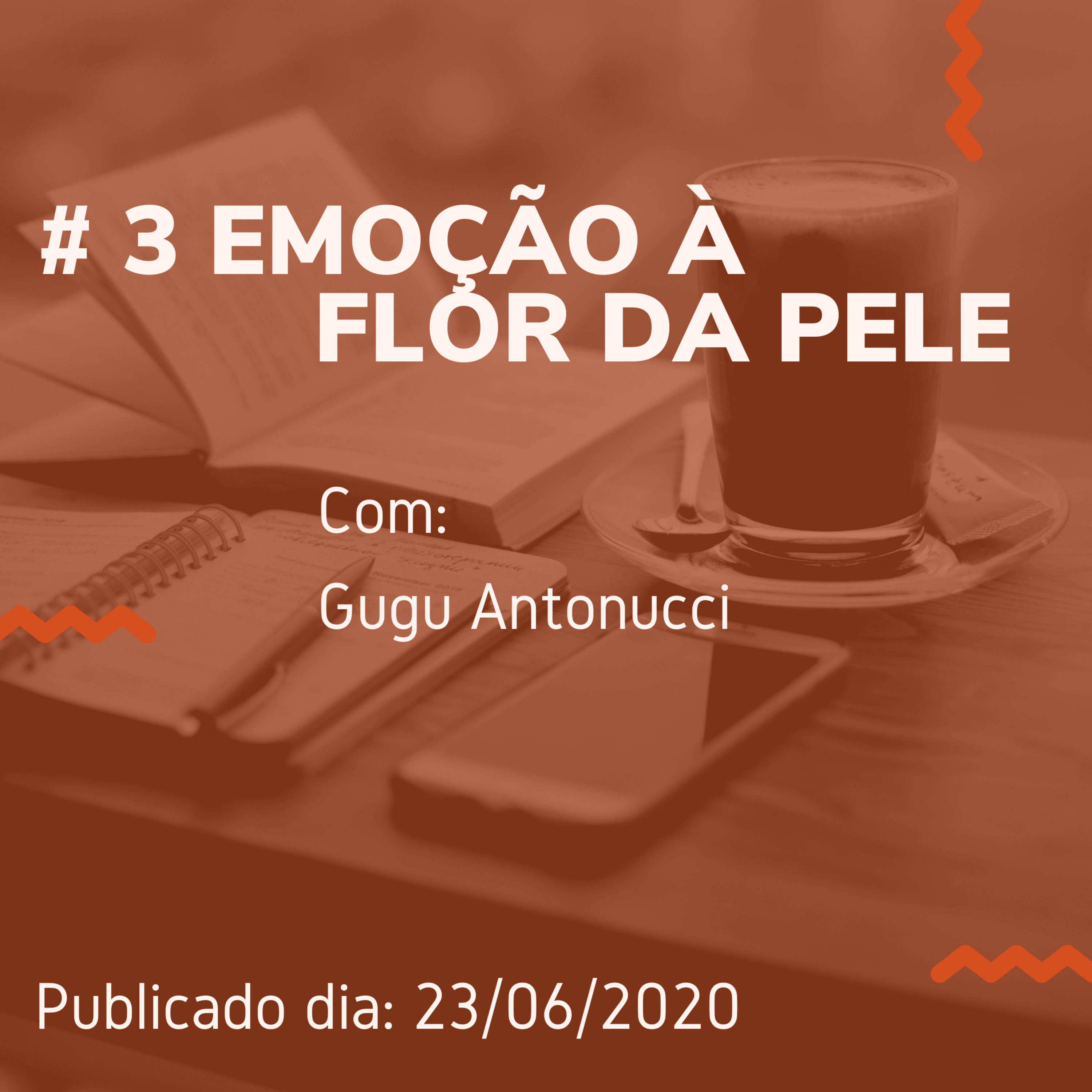 Precisa Copiar?