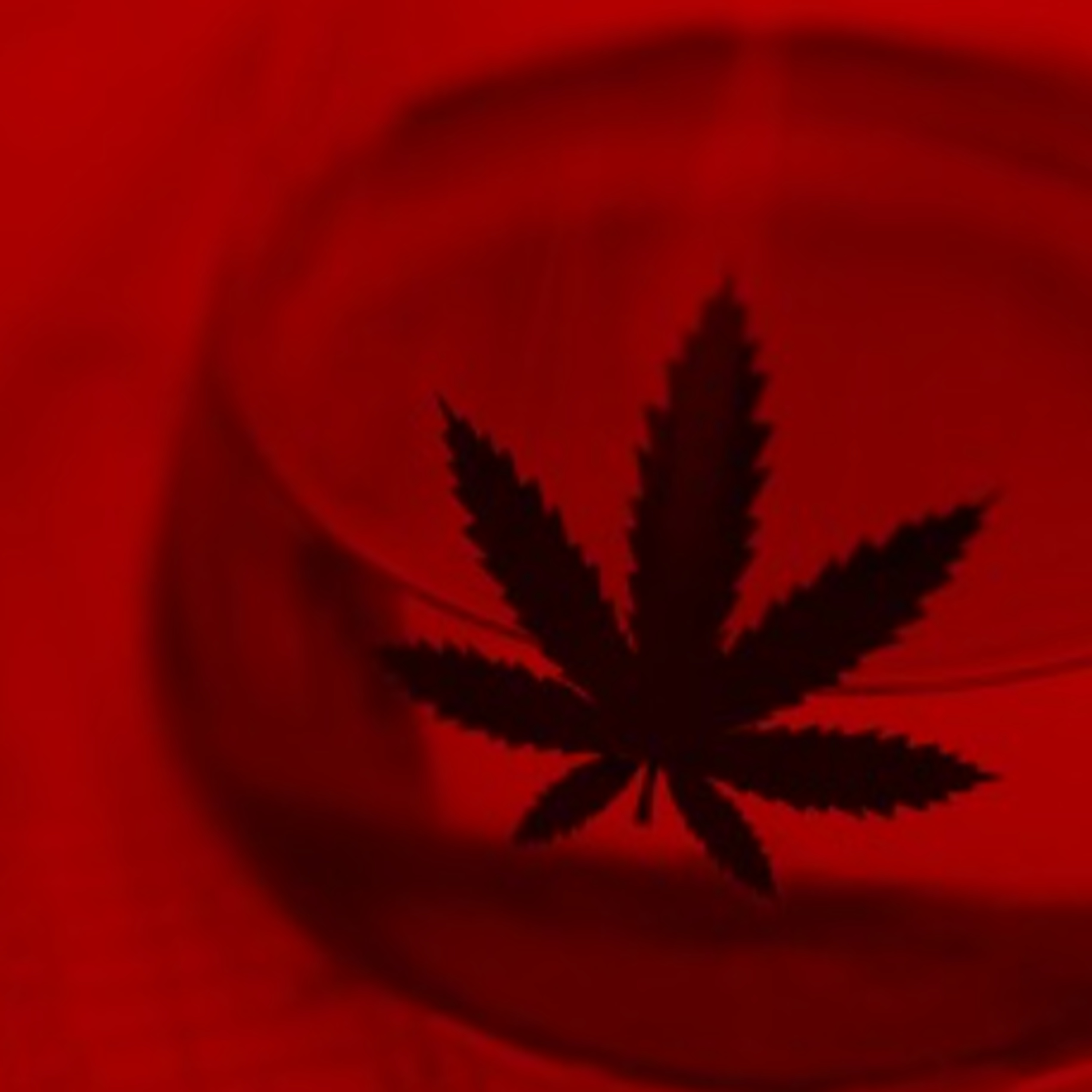 CannabisTech