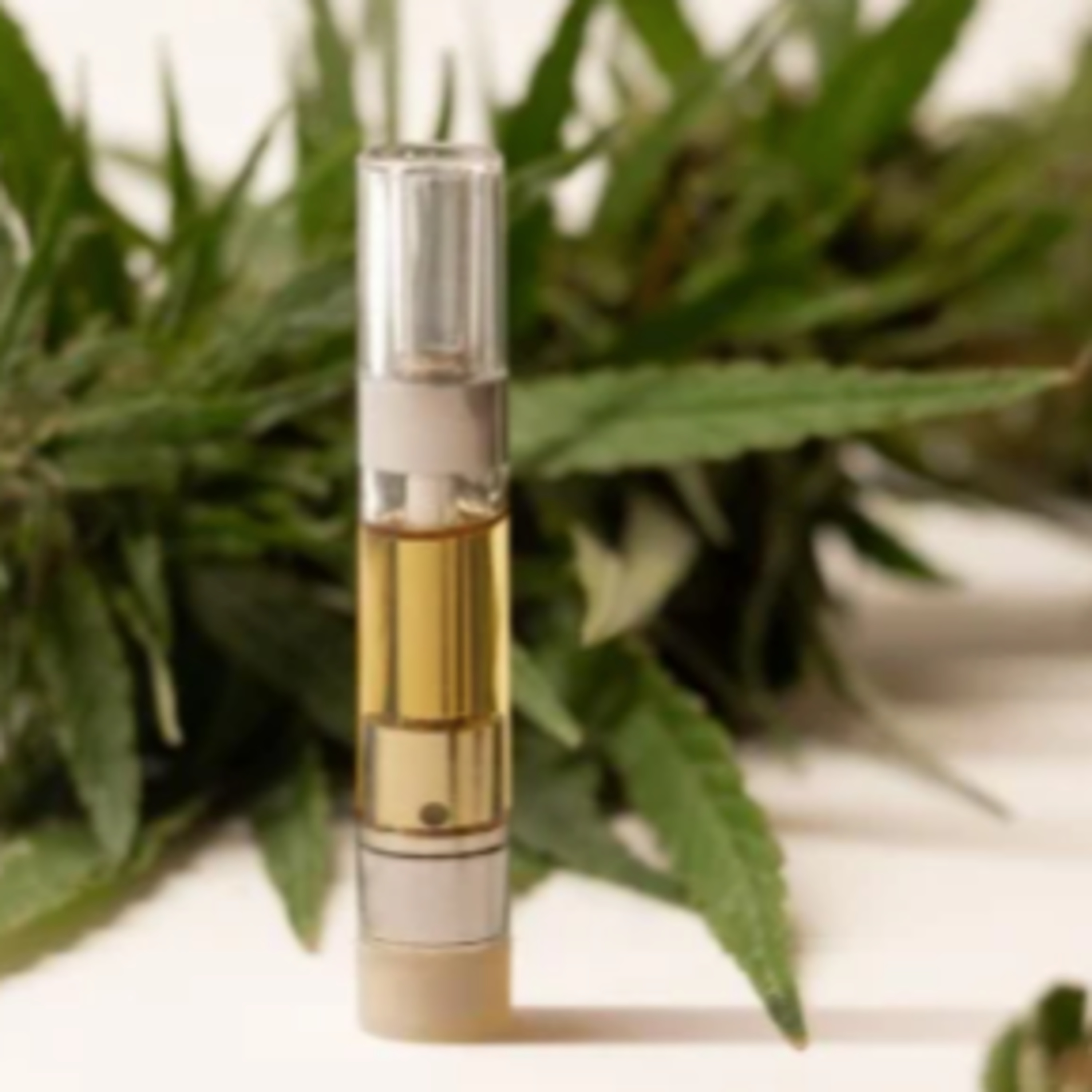 CannabisTech