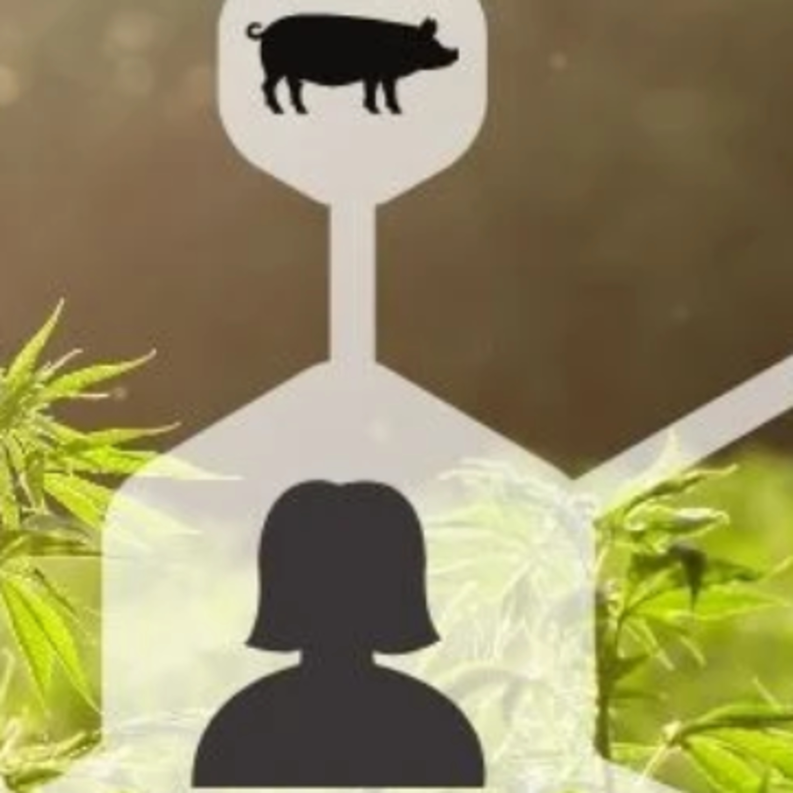CannabisTech