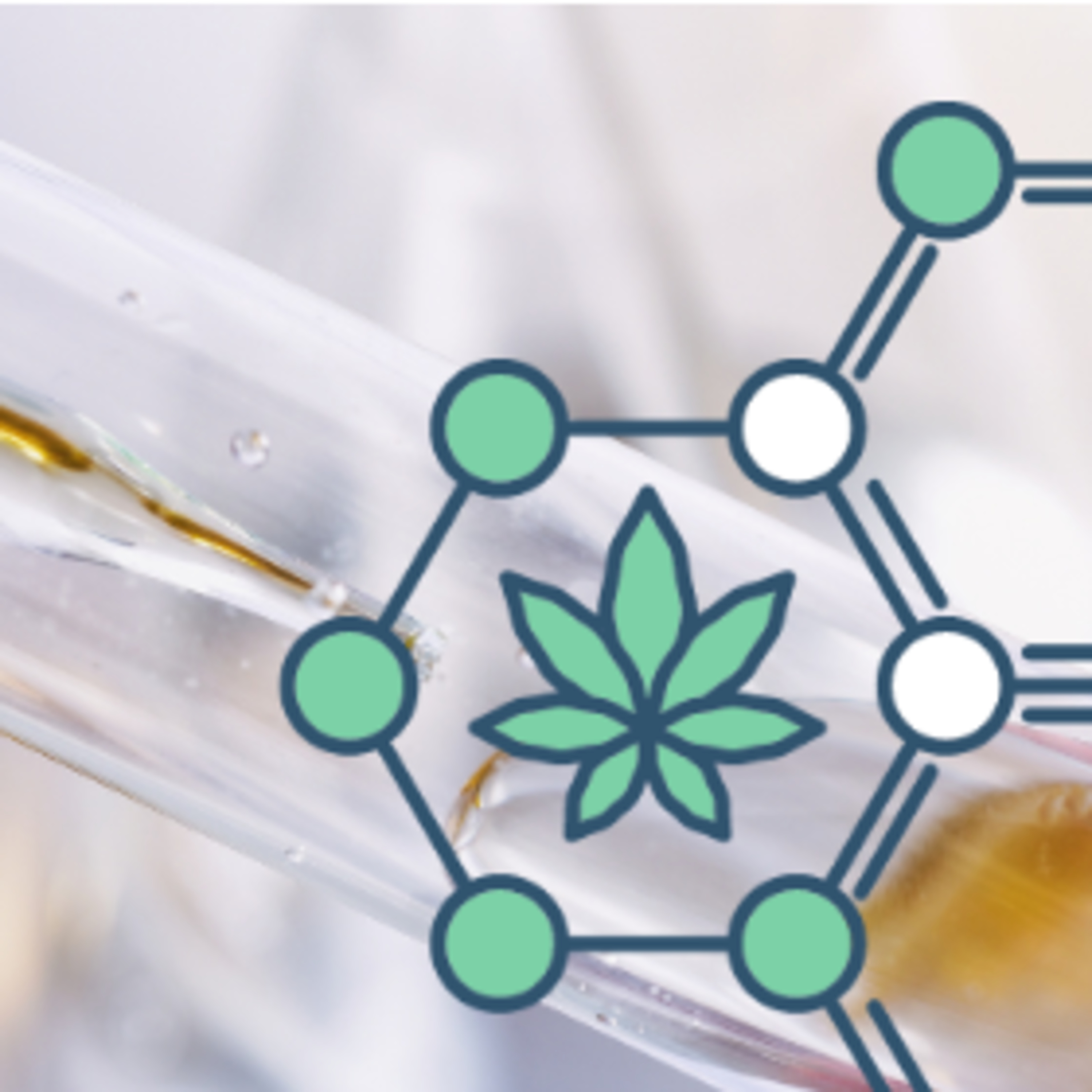 CannabisTech