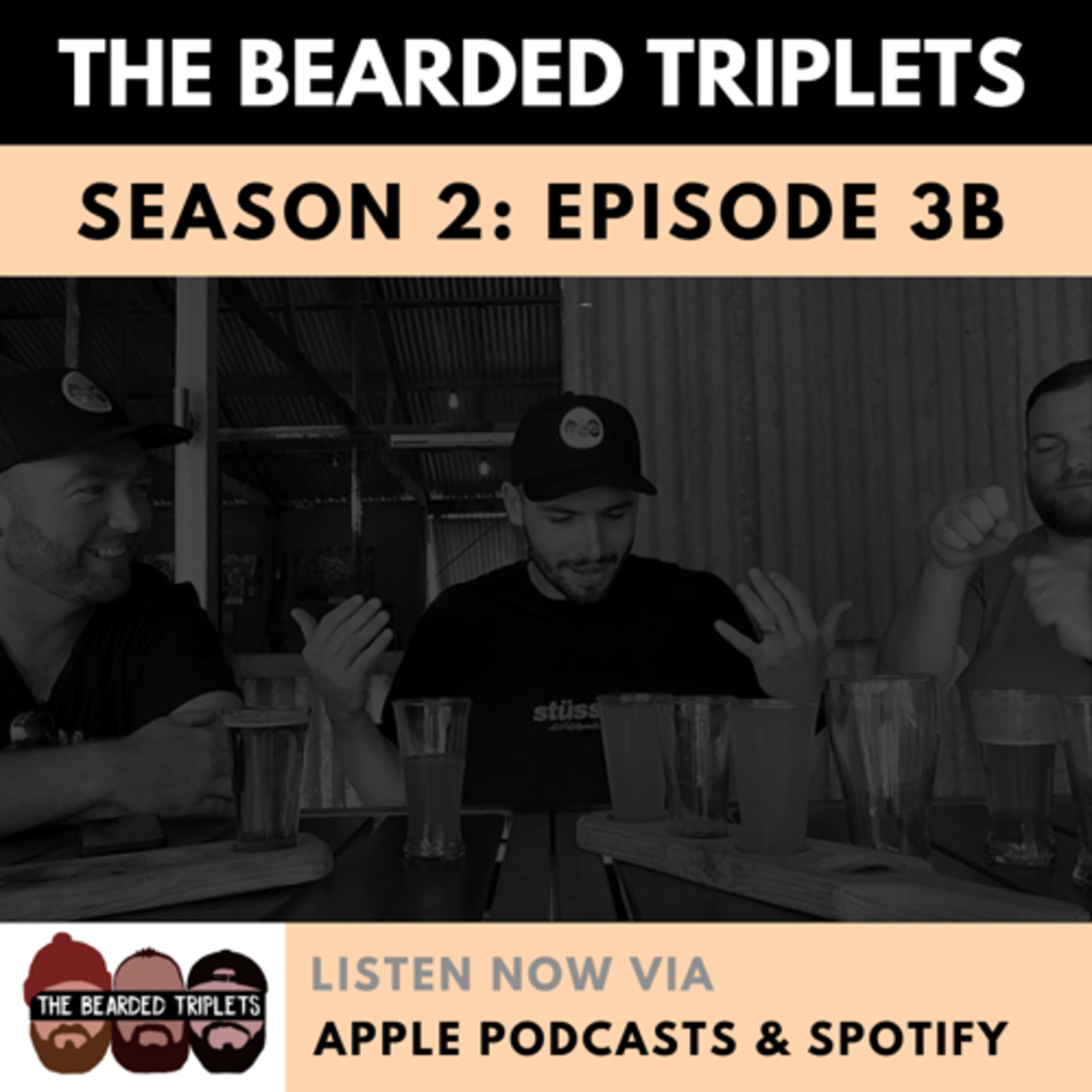 S2 3B - Bearded Banter 🧔🏻 episode artwork