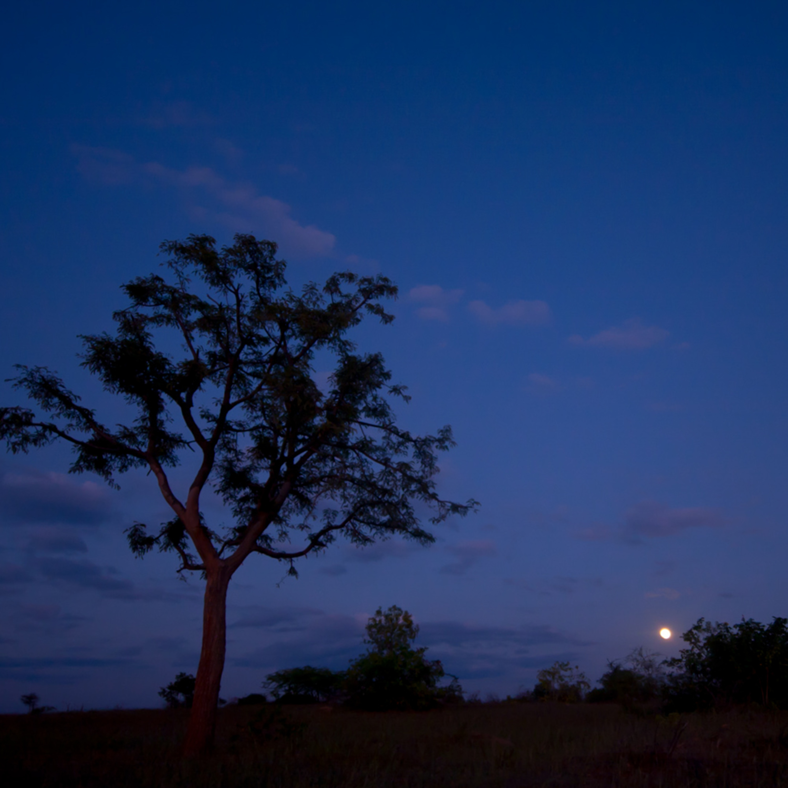 Stories from Journey Through Nature