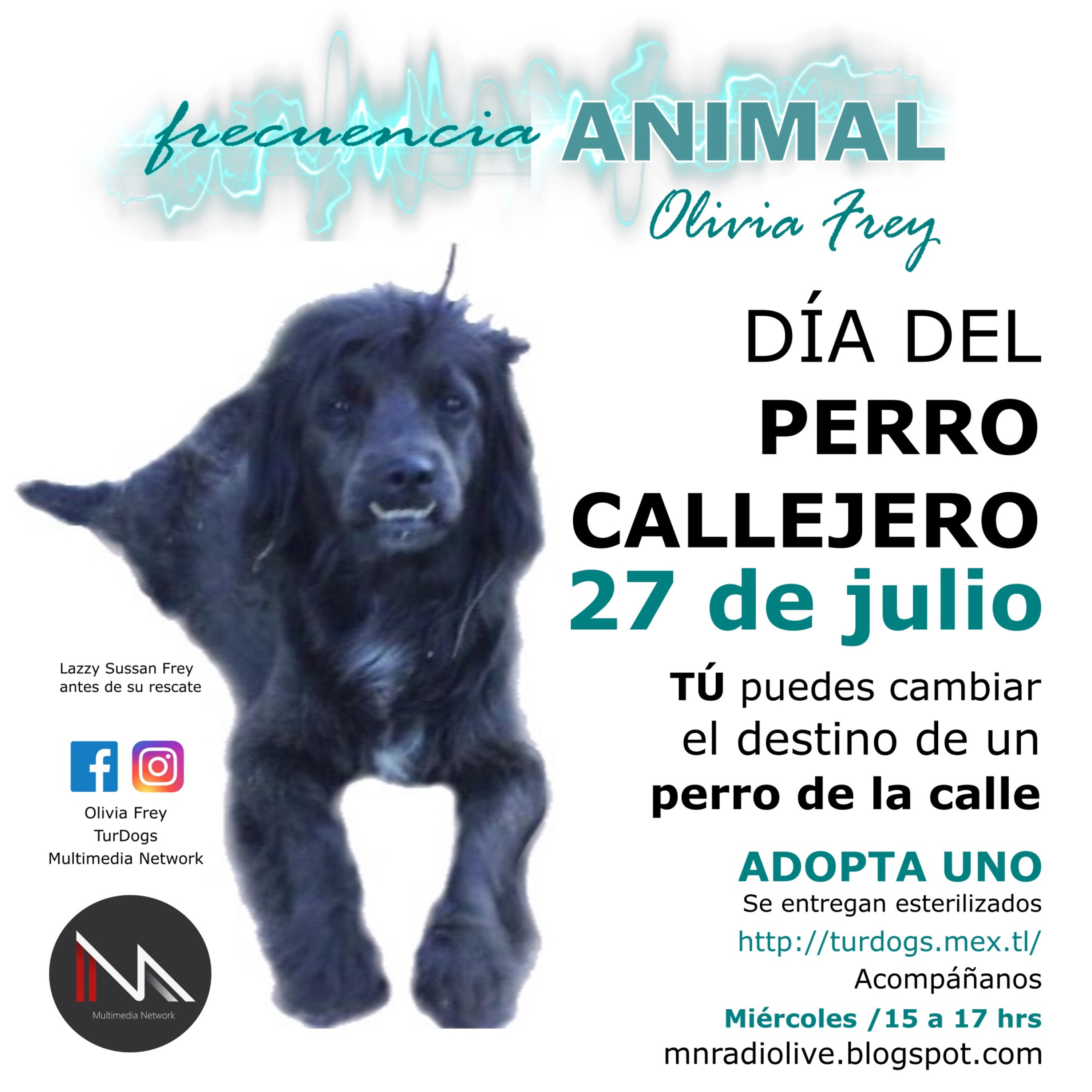 FRECUENCIA ANIMAL CON OLIVIA FREY