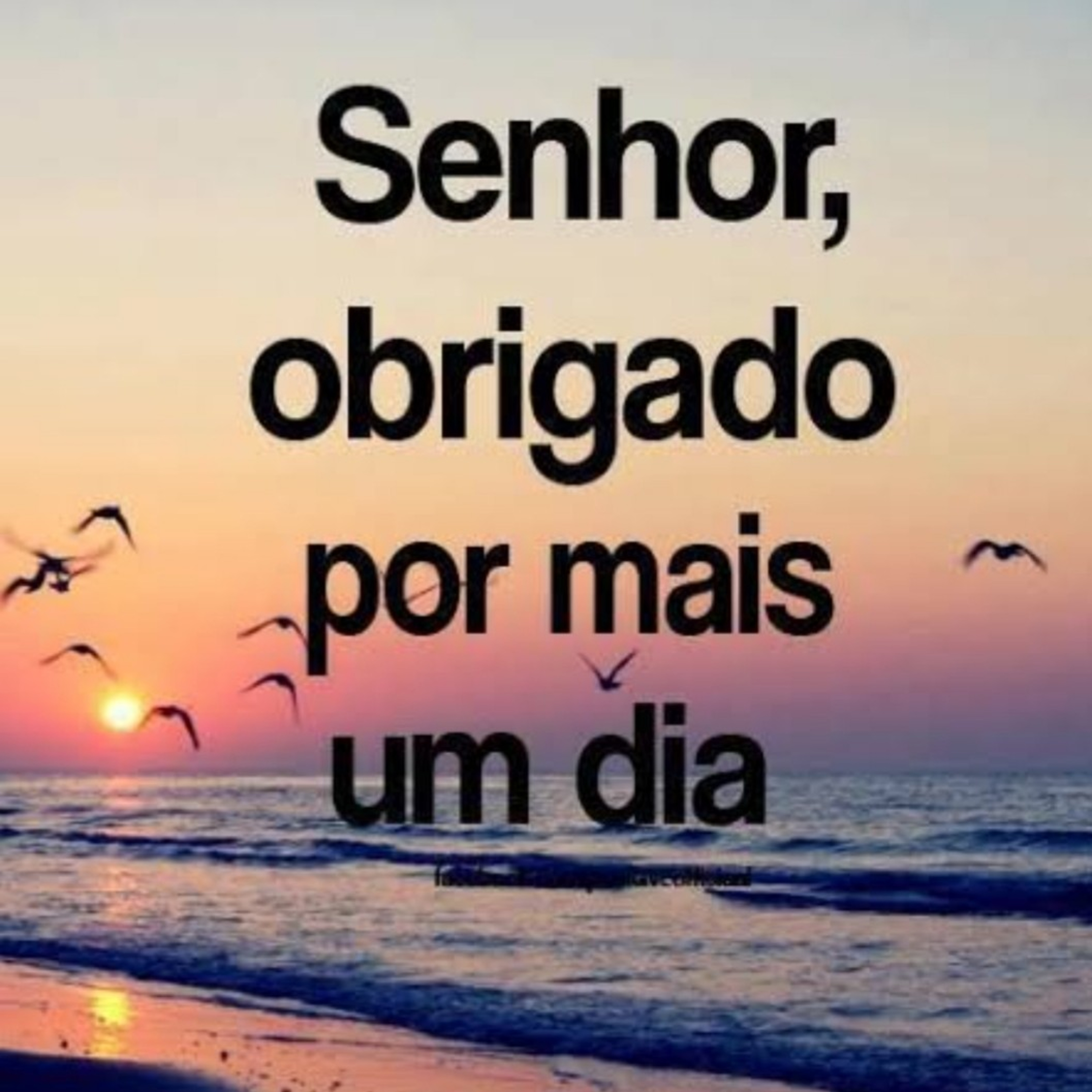 Clarice Lemos